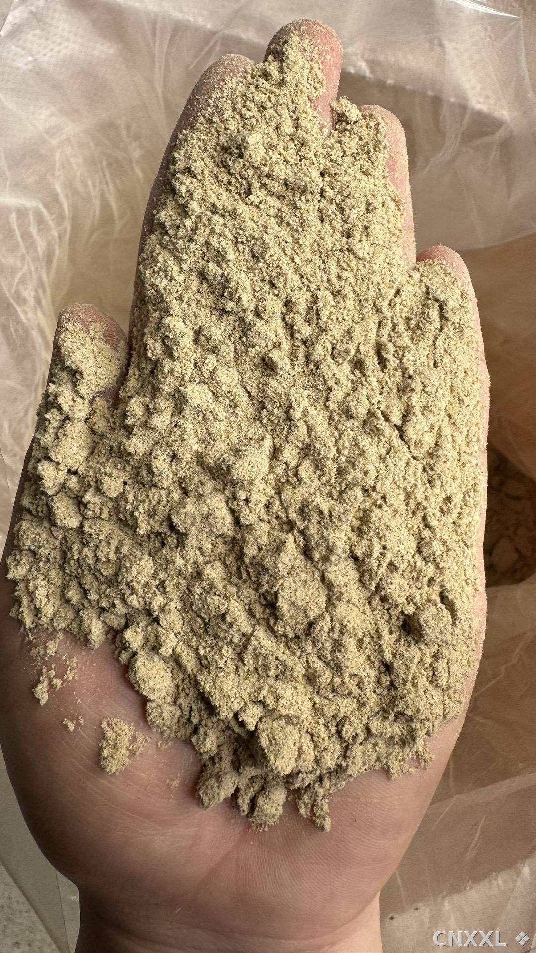 spice_19065_0ce60bcf_1.jpg