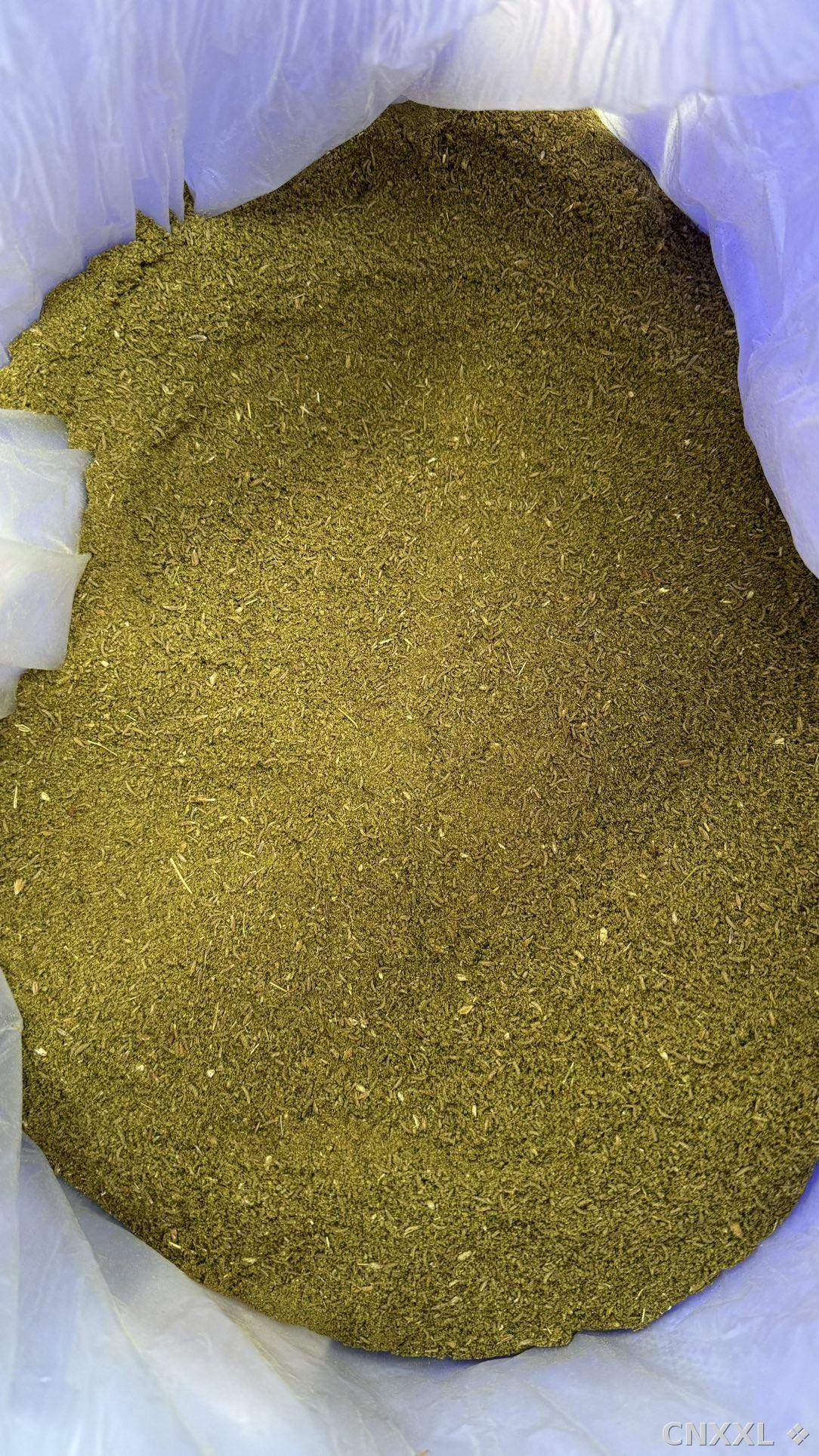 spice_19070_1a80ae08_2.jpg