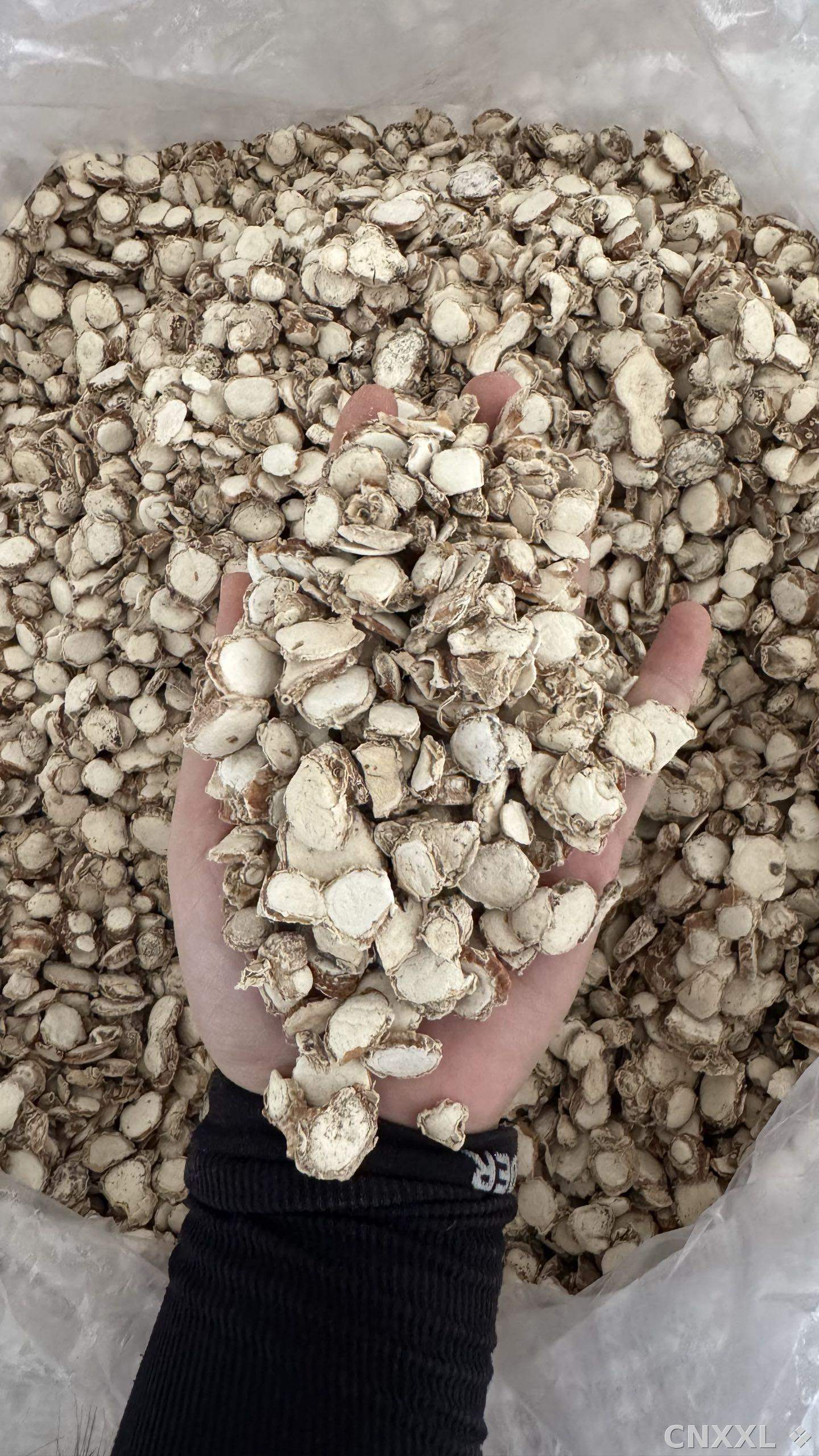 spice_19106_bfac84fd_2.jpg