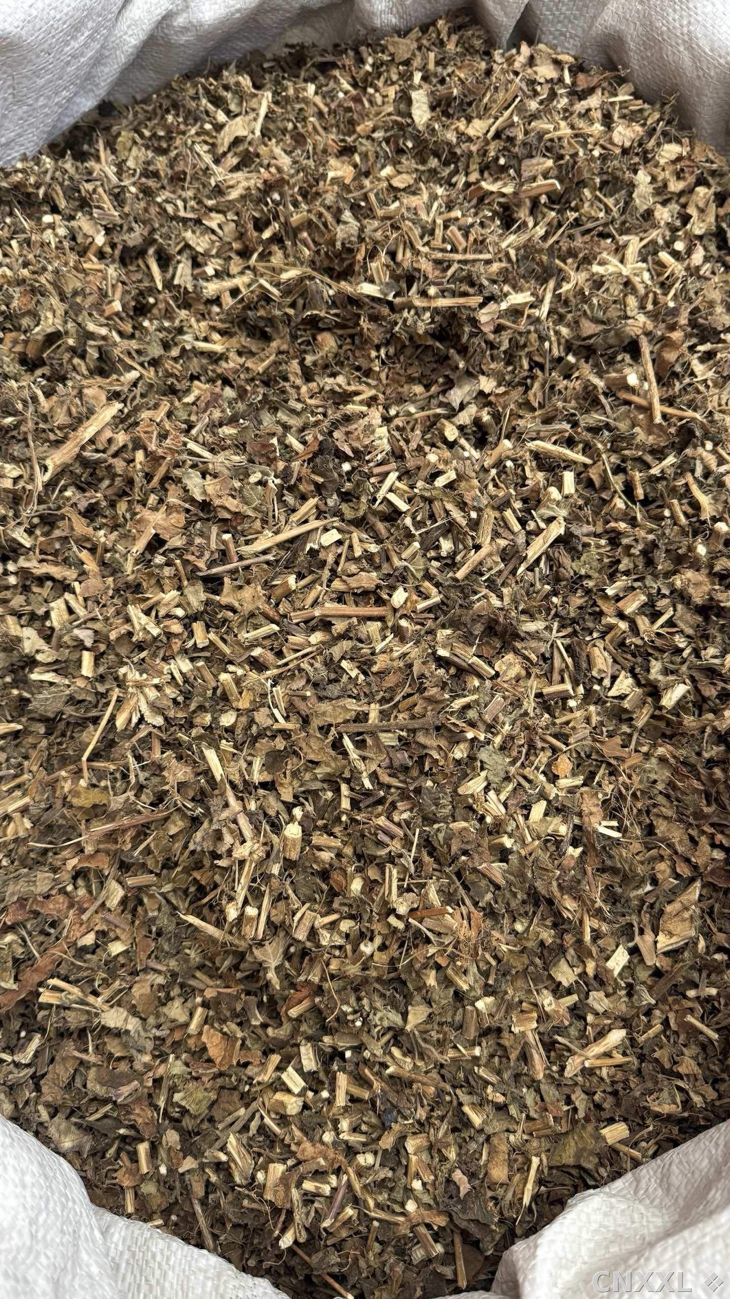 spice_193498_61f0aec9_3.jpg