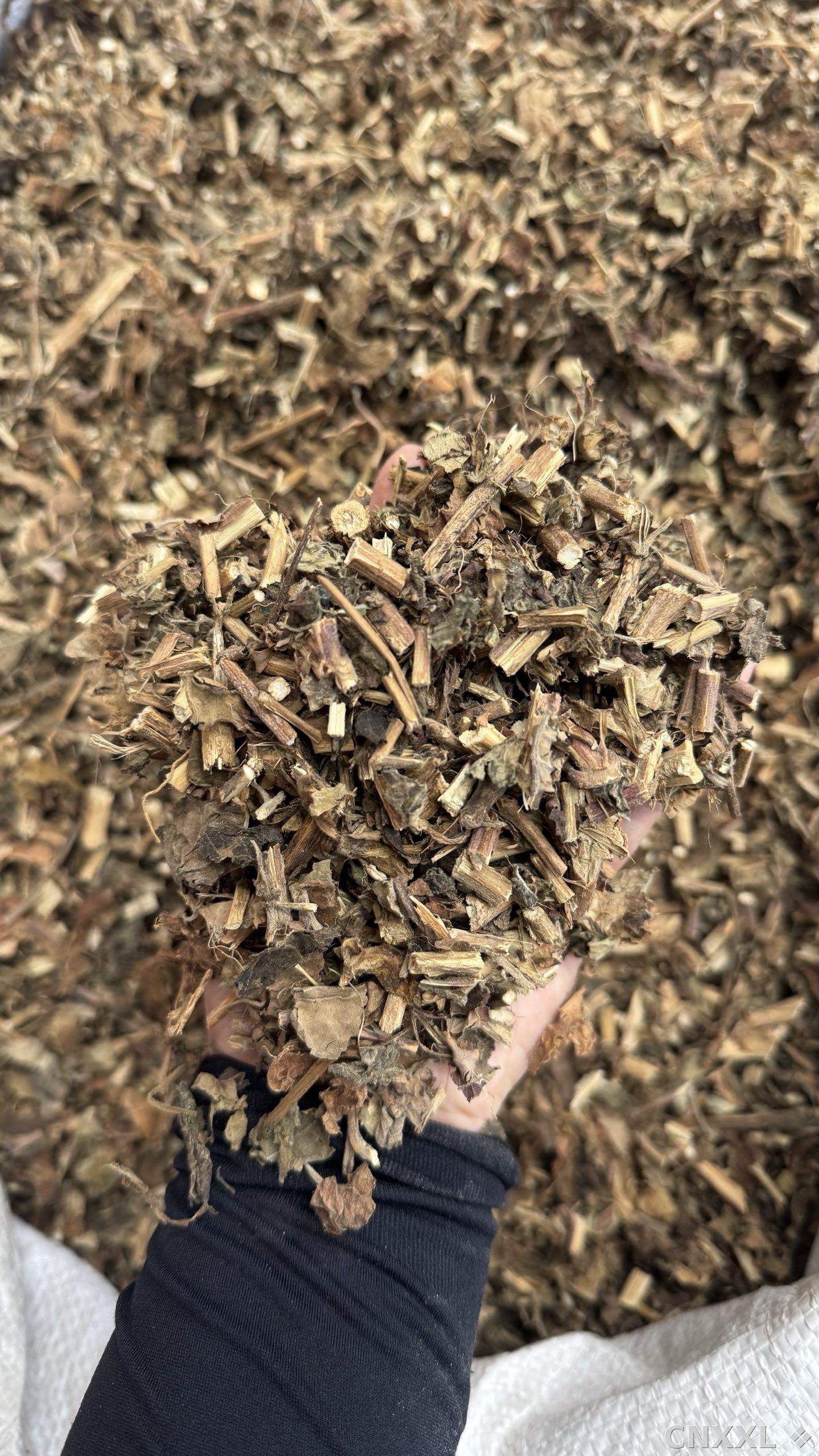 spice_193499_f0580cf1_1.jpg