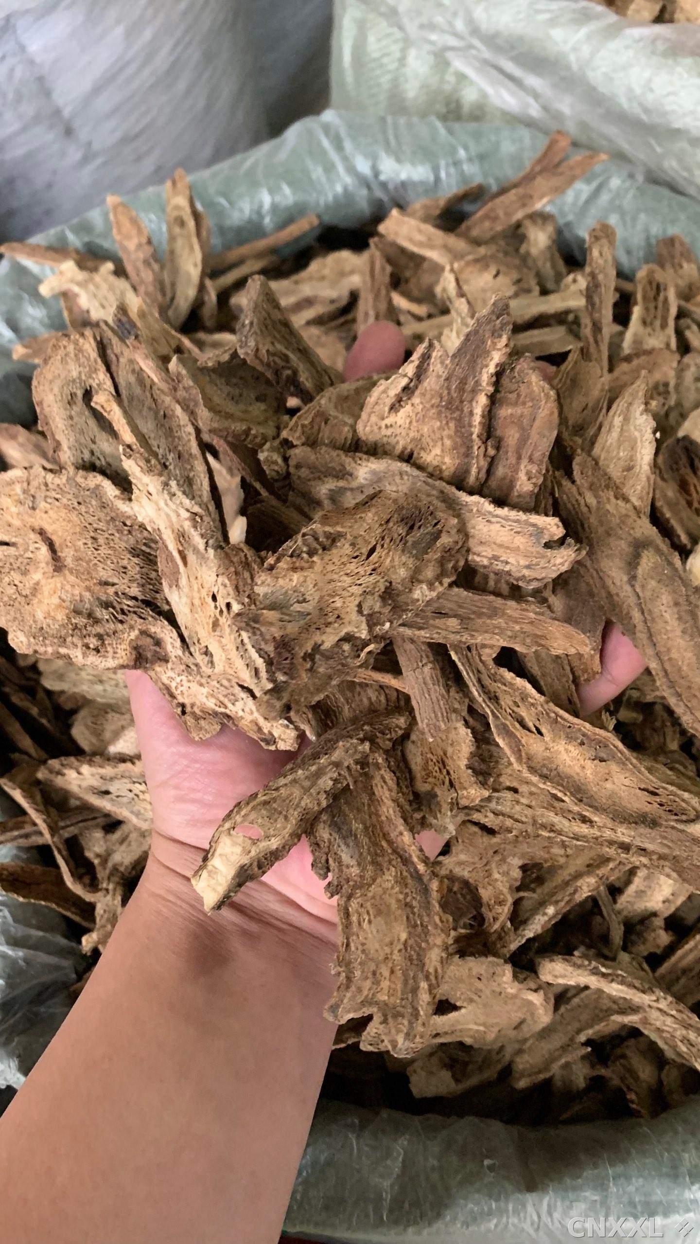 spice_19364_0cbf6110_2.jpg