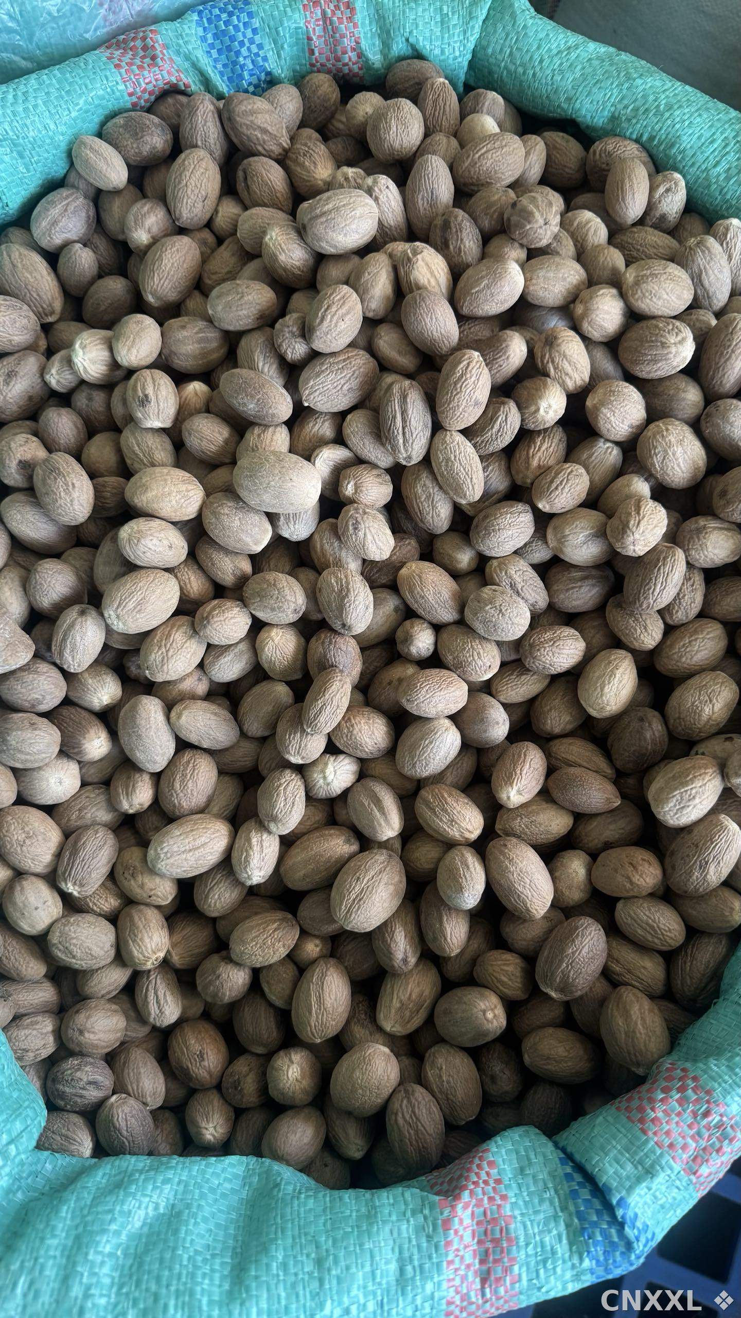 spice_19366_a274fa3d_3.jpg
