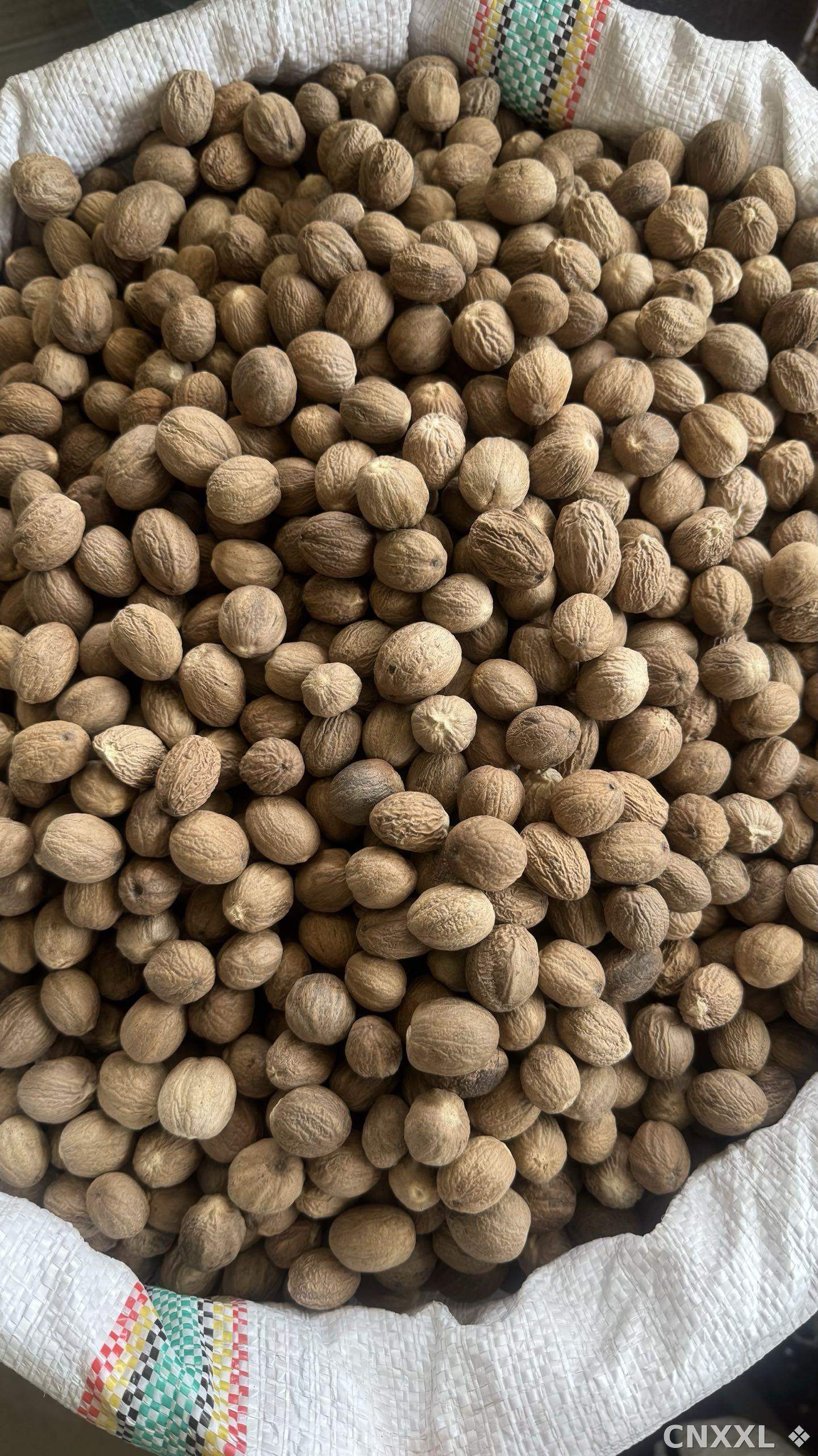 spice_19367_dd14089b_3.jpg