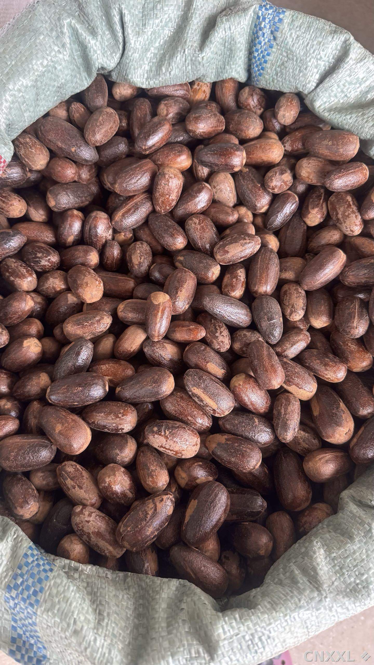 spice_19369_cbfd5b71_3.jpg