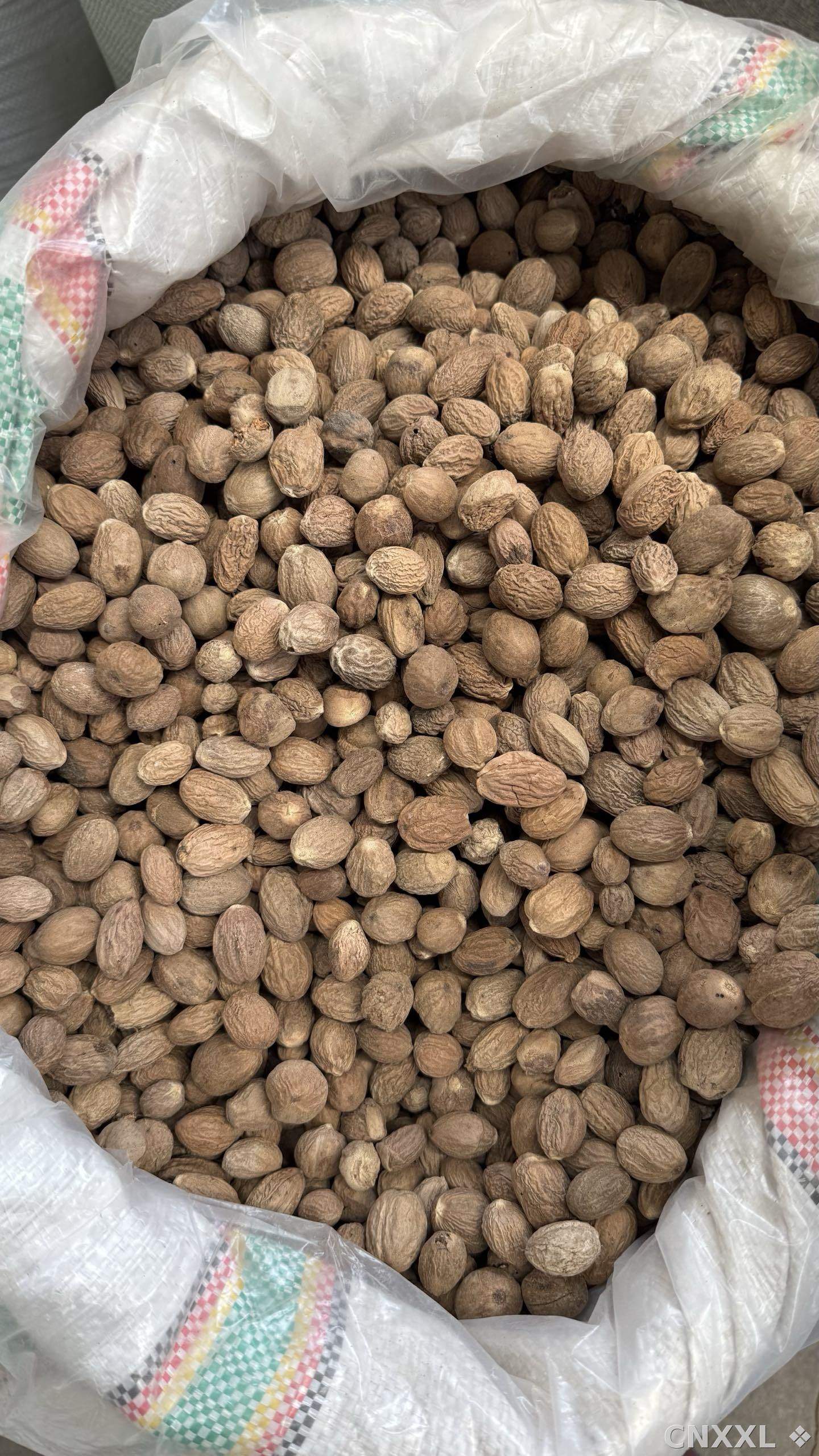 spice_19944_996857f6_3.jpg