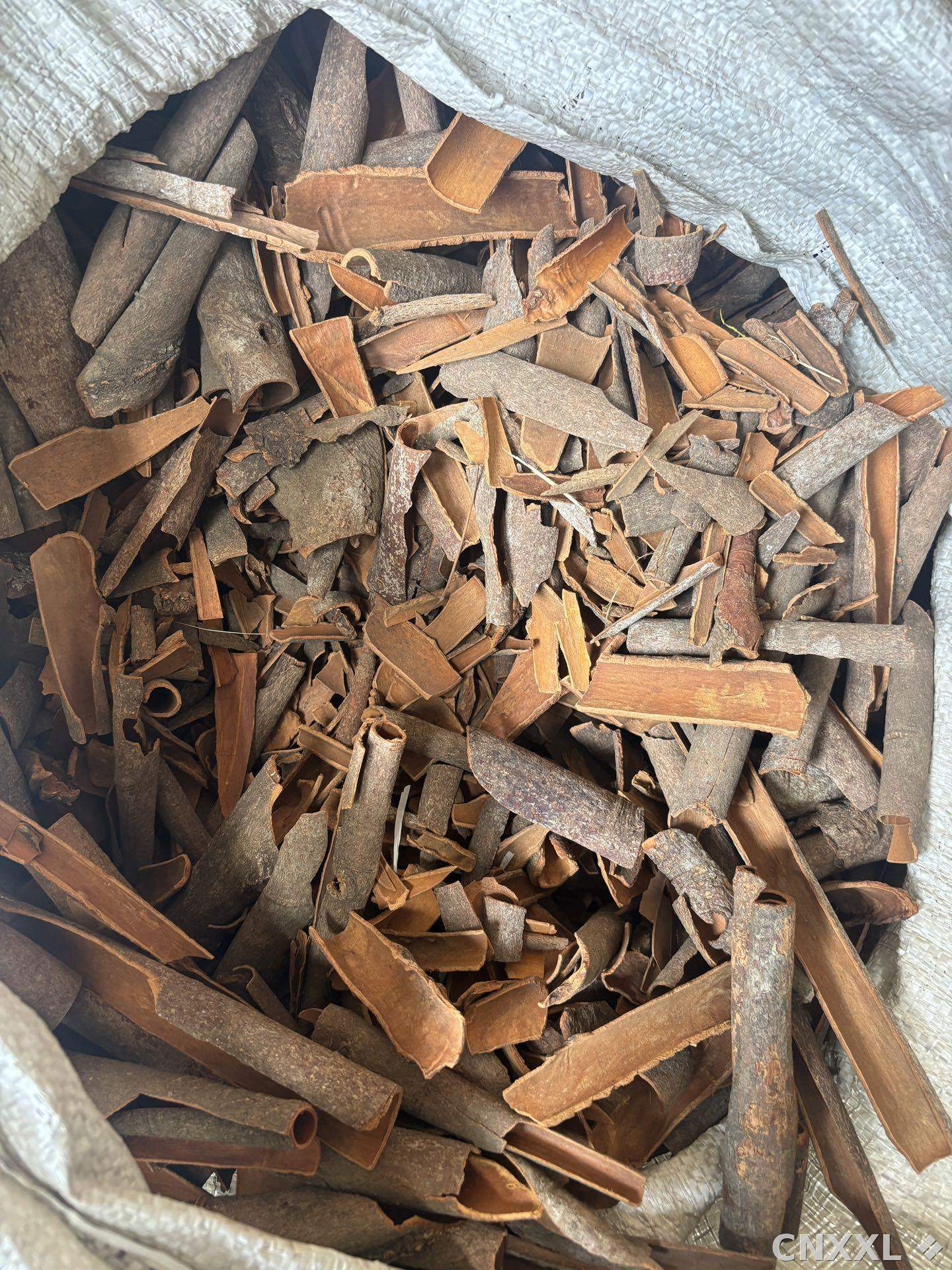 spice_19958_965cb7b7_1.jpg