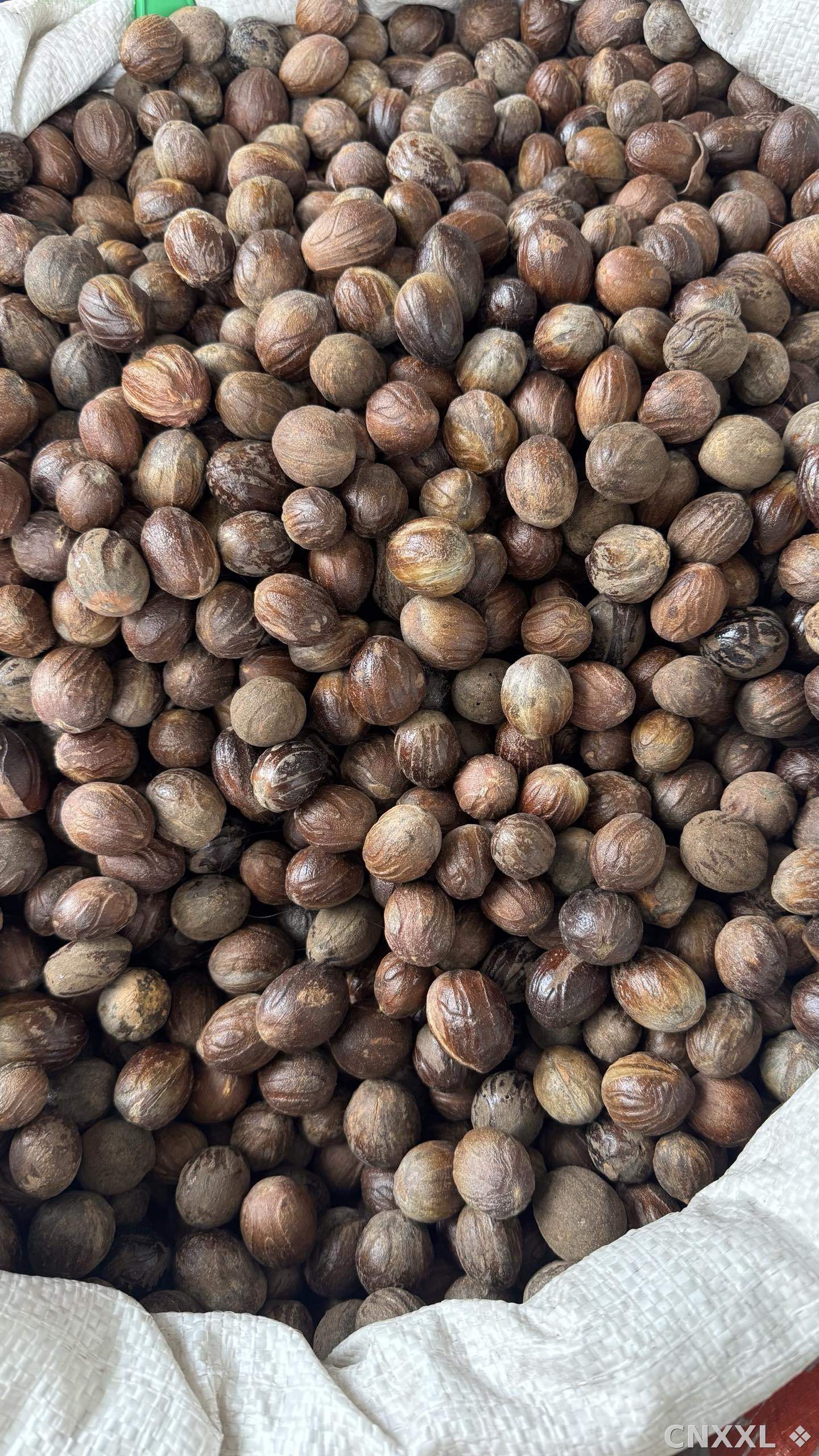 spice_2028190_f02f86be_3.jpg