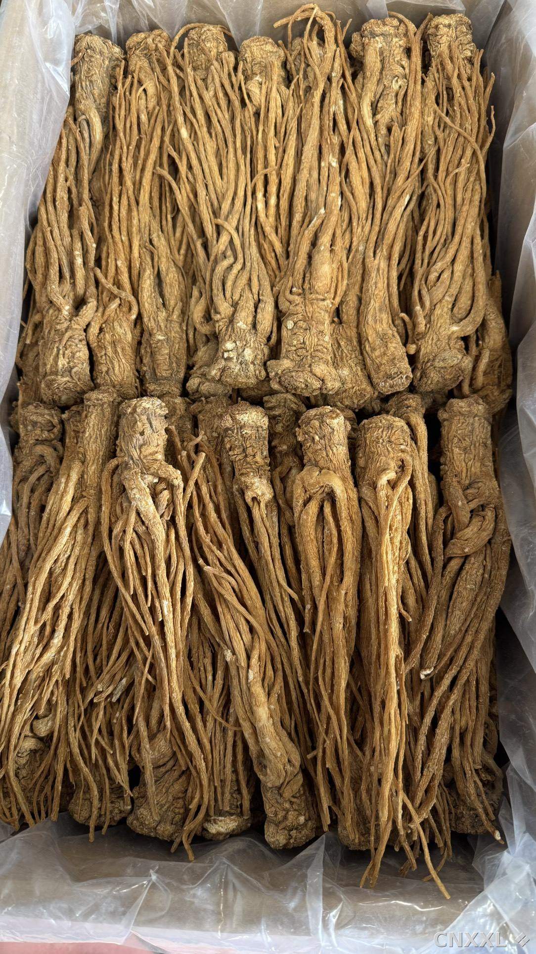 spice_20497_6ad0c2ca_3.jpg
