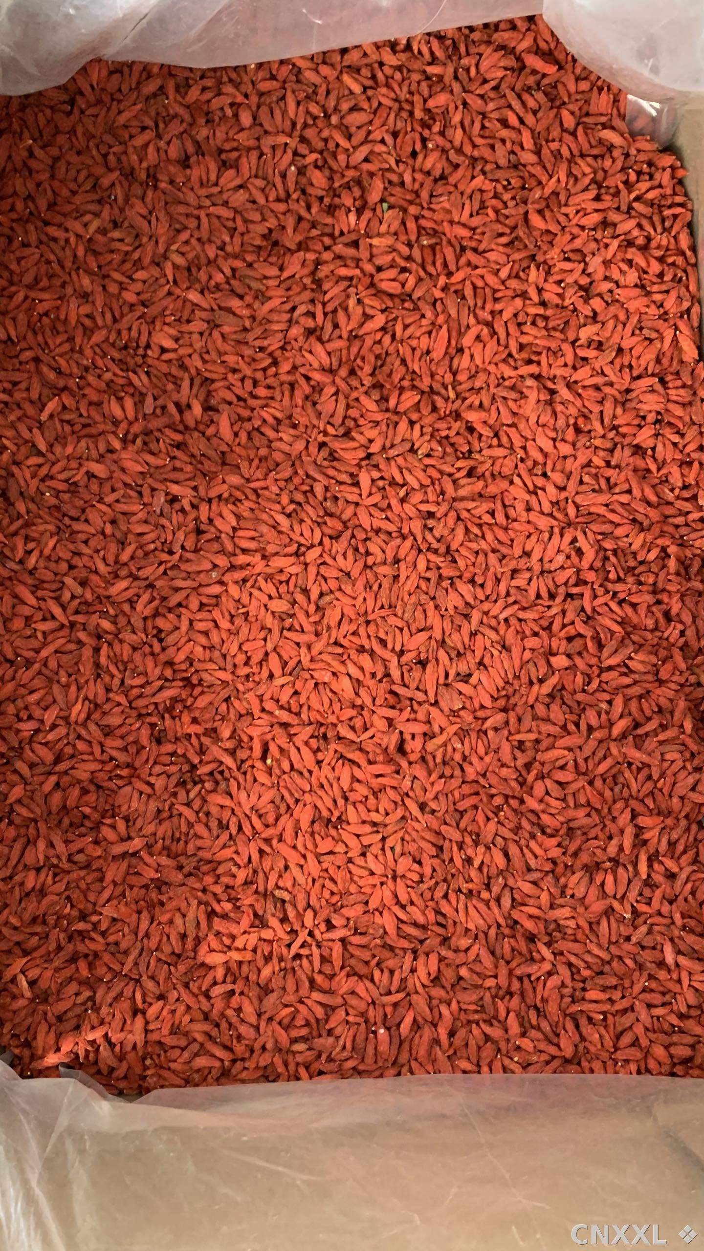 spice_20503_06932747_3.jpg