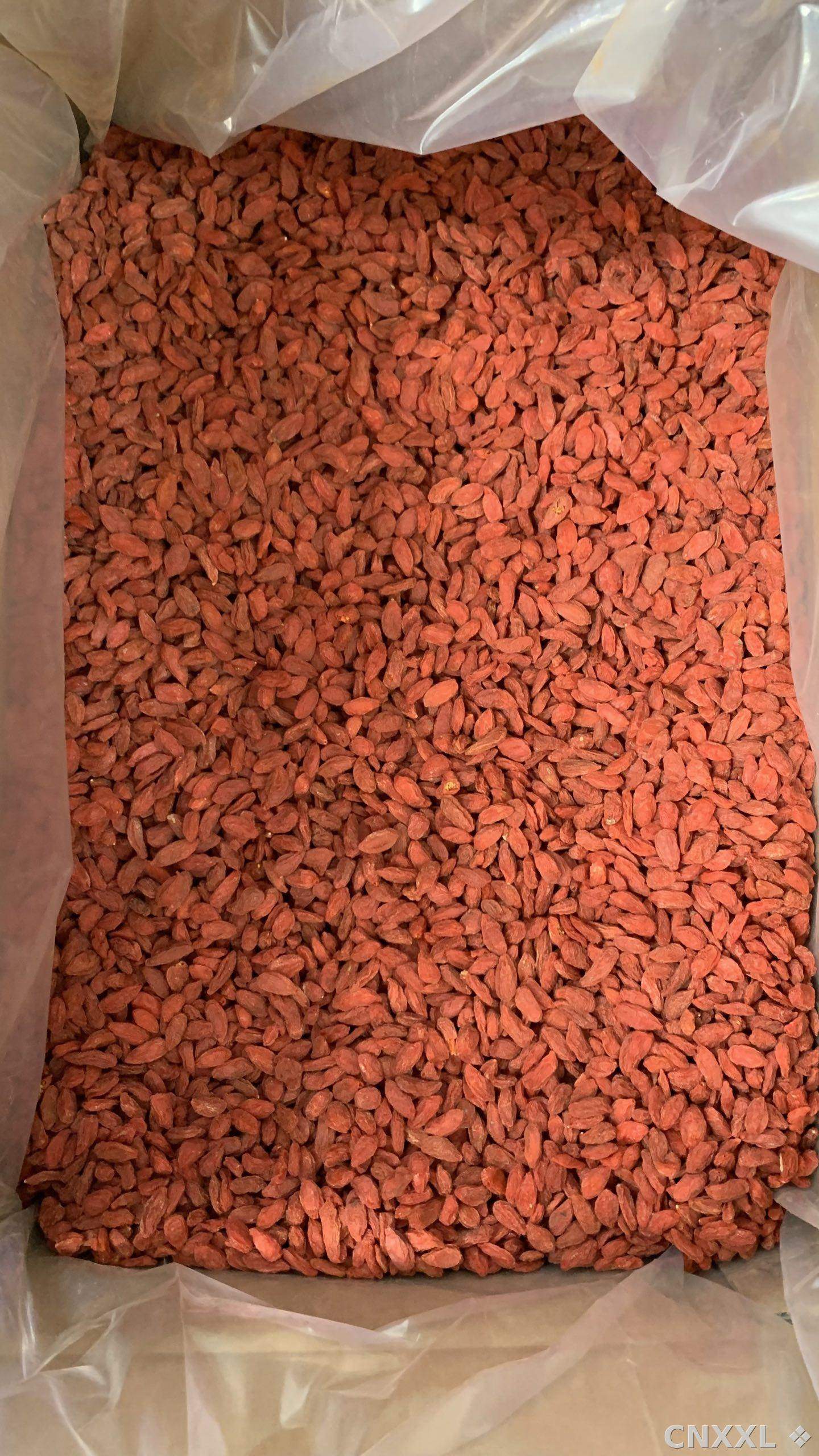 spice_20508_2f0df7be_3.jpg