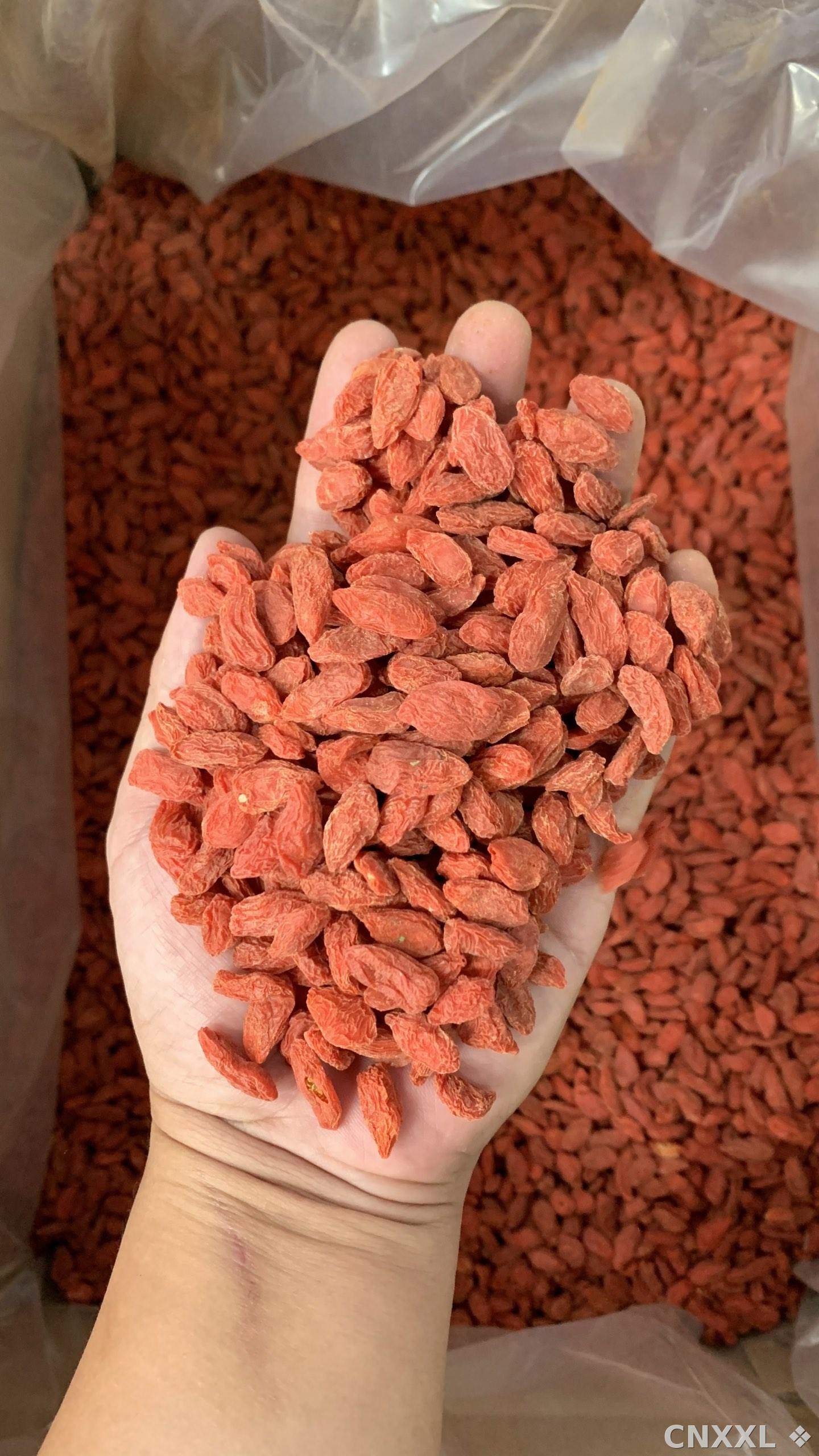 spice_20508_7c2786e6_2.jpg