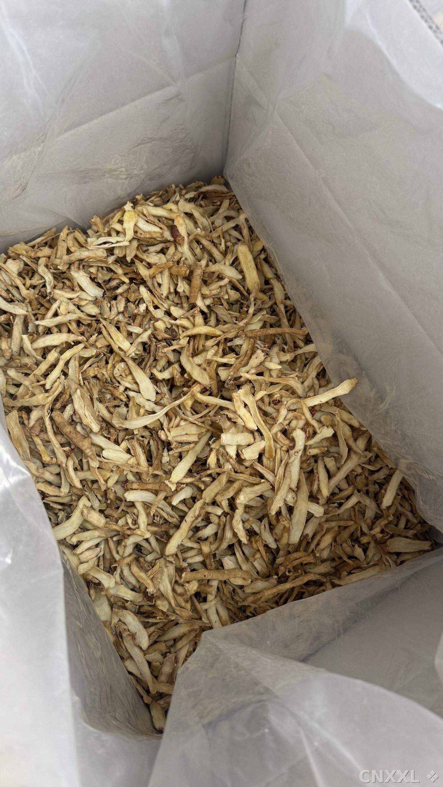 spice_20511_f300fbe8_3.jpg