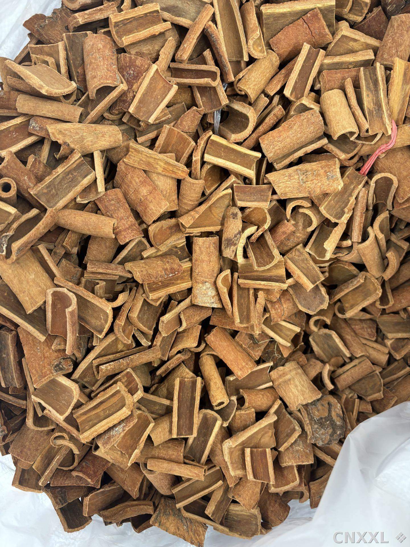 spice_20548_54dc43dc_3.jpg