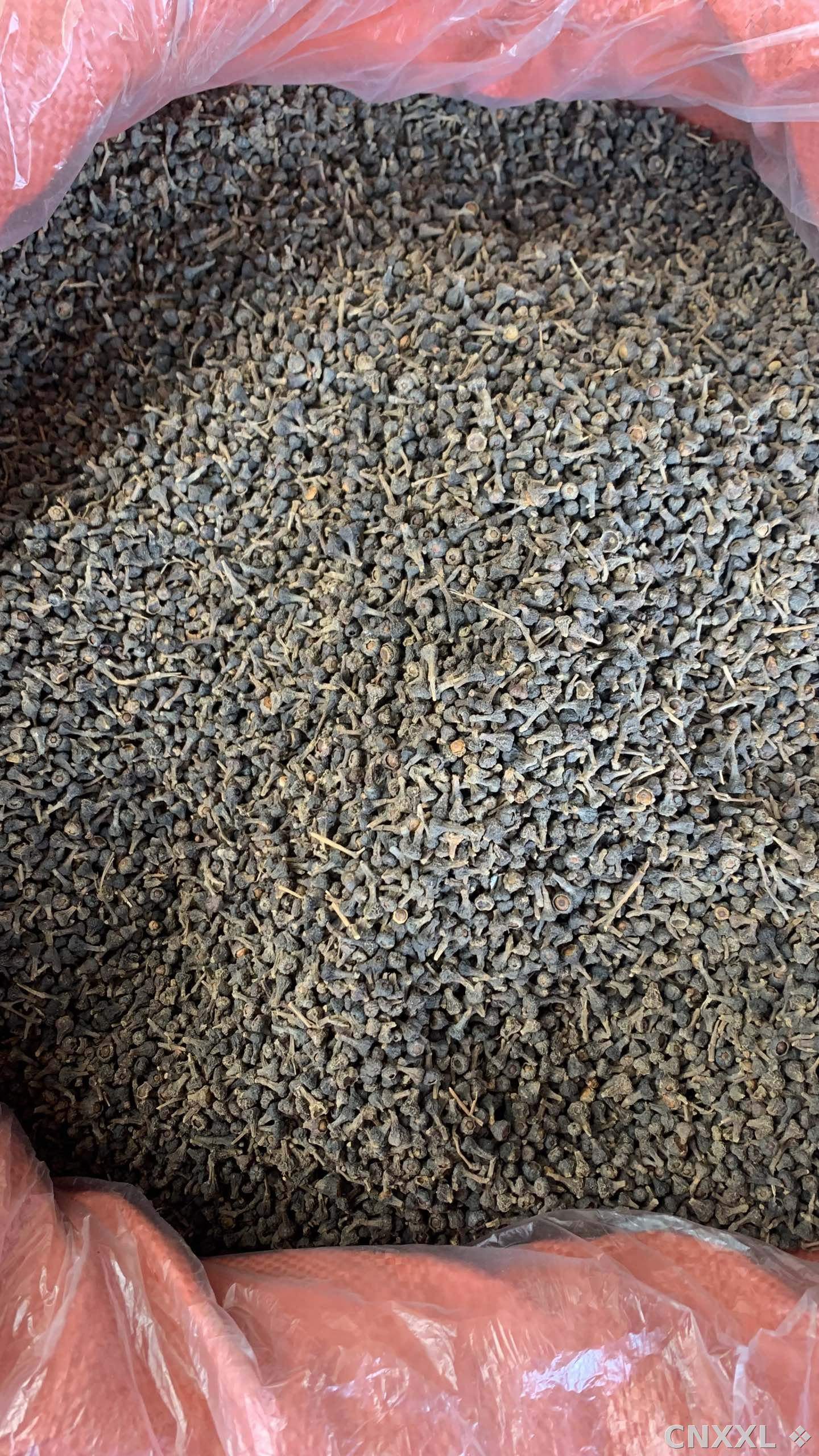 spice_20580_b0b19bcf_3.jpg