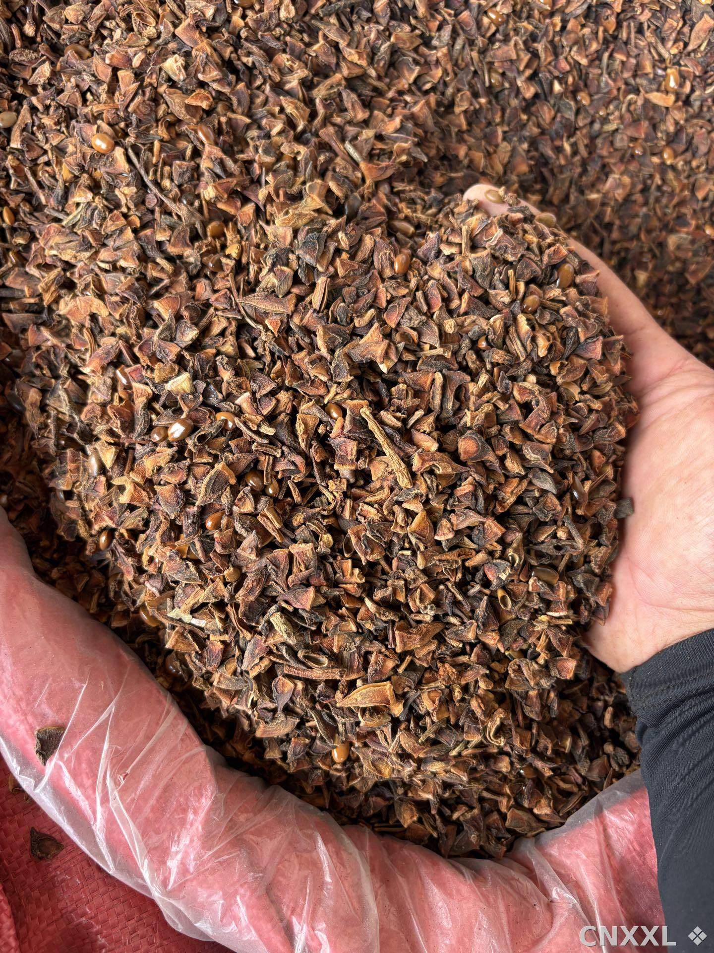 spice_2058544_266ce495_2.jpg