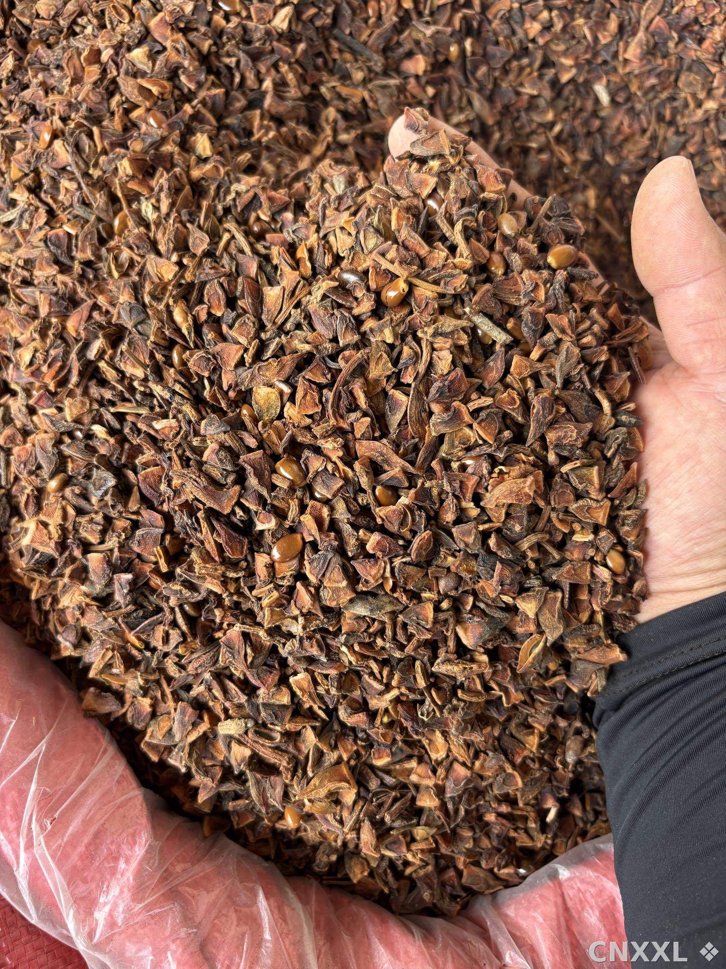 spice_2058544_e059f4e7_3.jpg