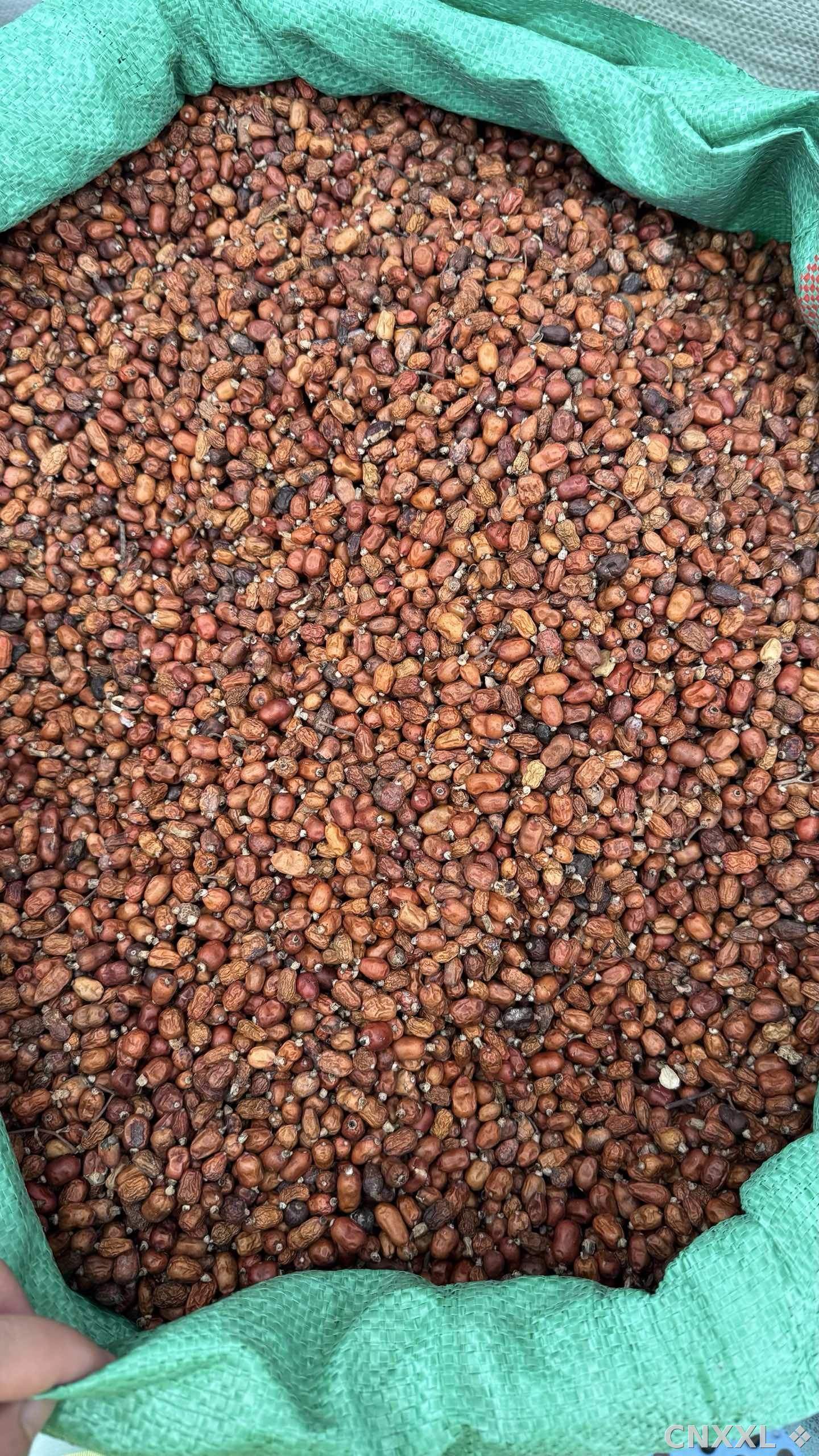 spice_2058545_28714fbe_3.jpg