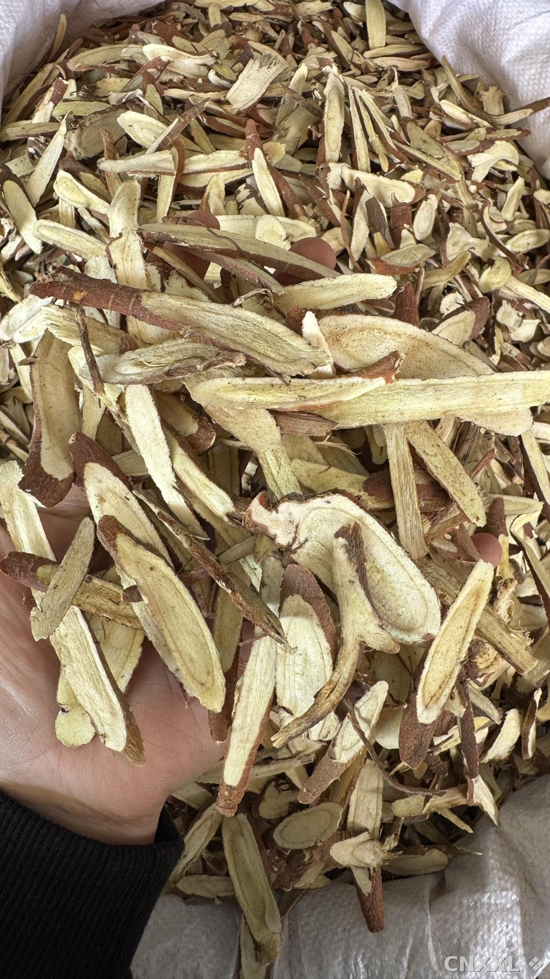spice_20657_466cdd4d_1.jpg
