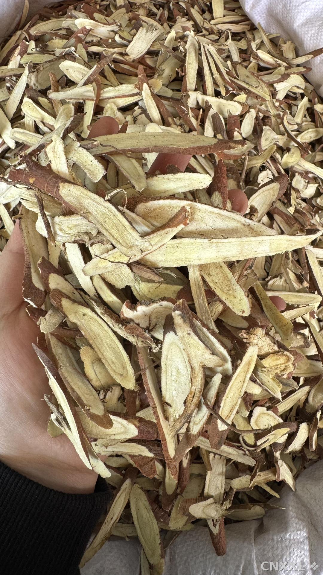 spice_20657_ef83919f_2.jpg
