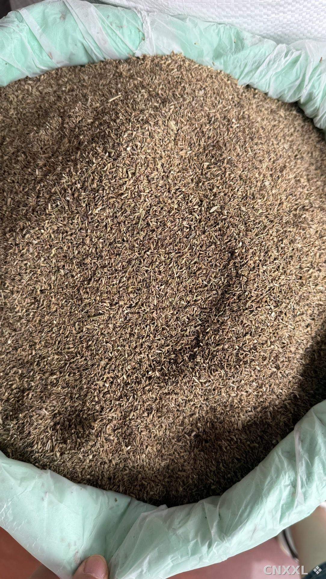 spice_20666_6b6ab30f_3.jpg