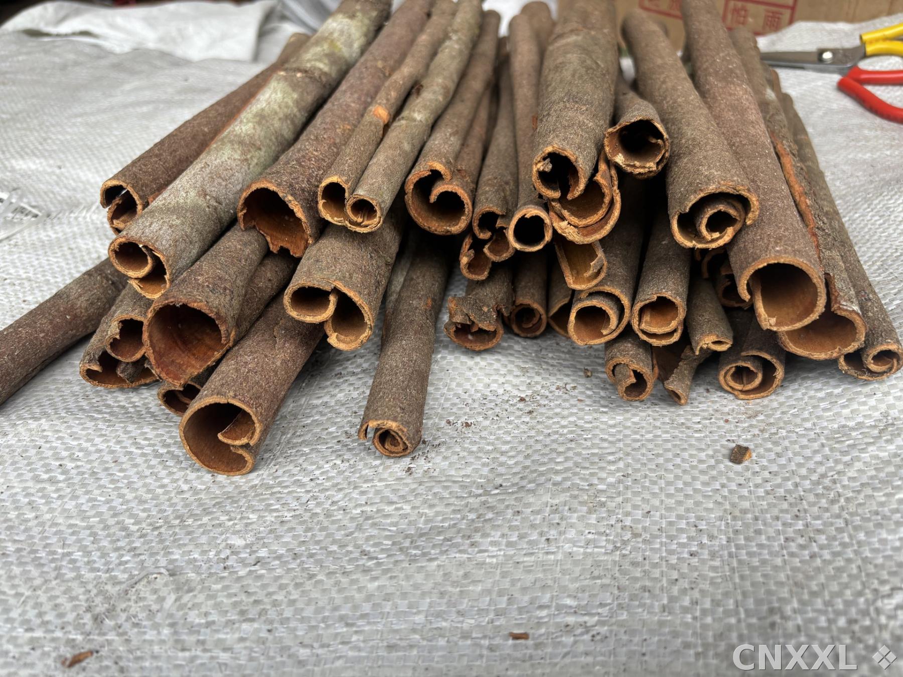 spice_21098_58acdb2e_1.jpg