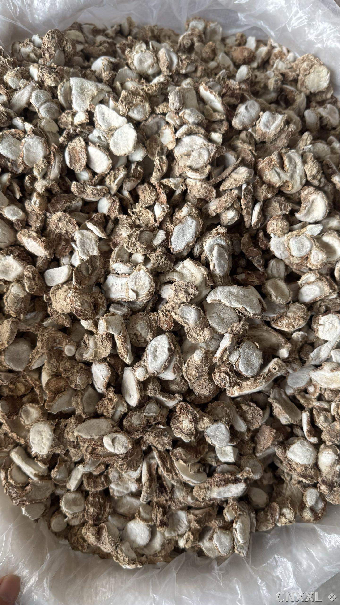 spice_21154_8234bc5c_3.jpg