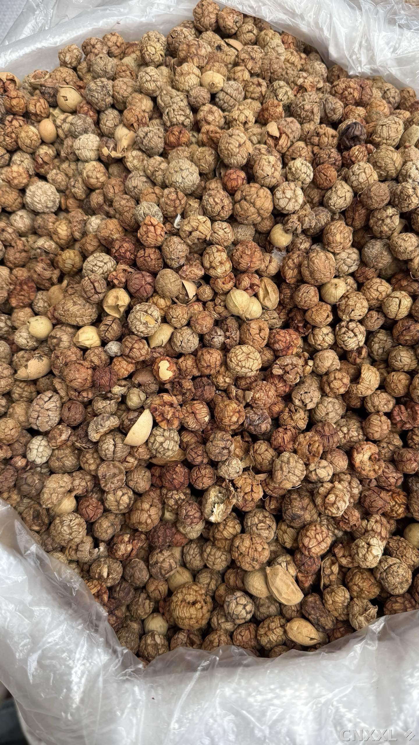 spice_21346_ca45cb32_3.jpg