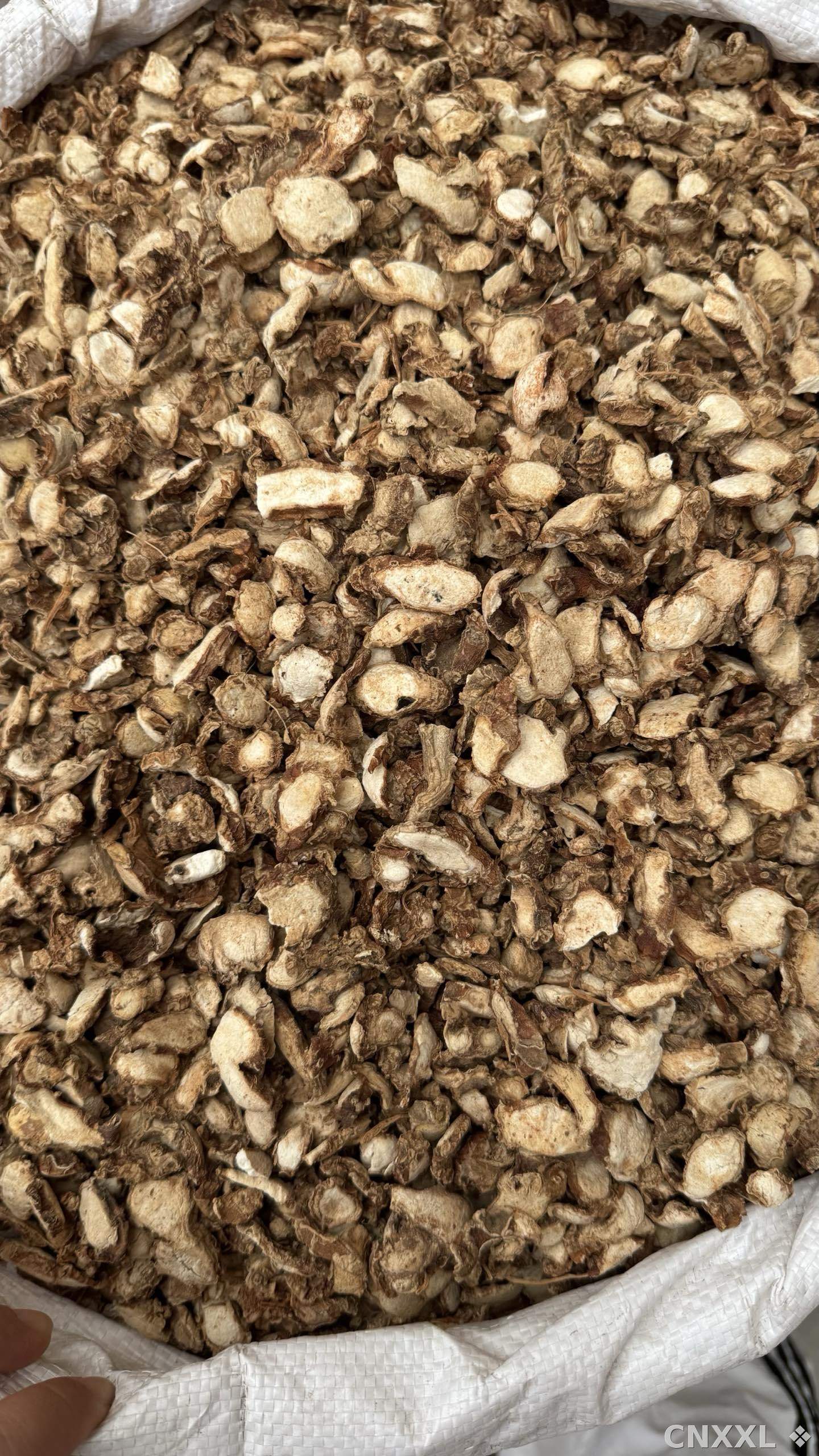 spice_21729_4c289e40_2.jpg