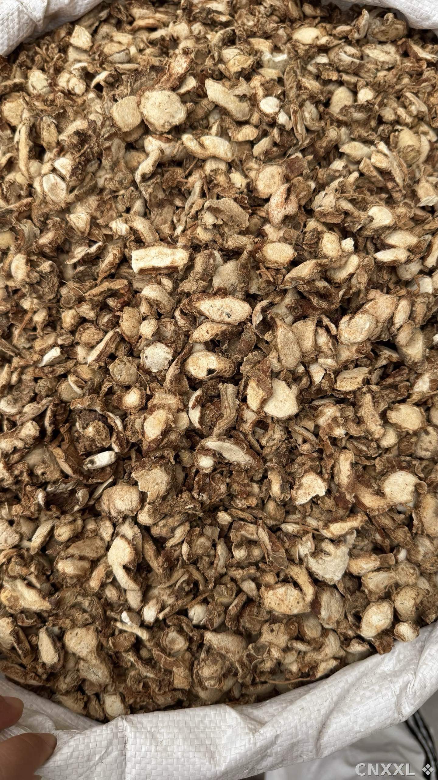 spice_21729_bd5308db_3.jpg