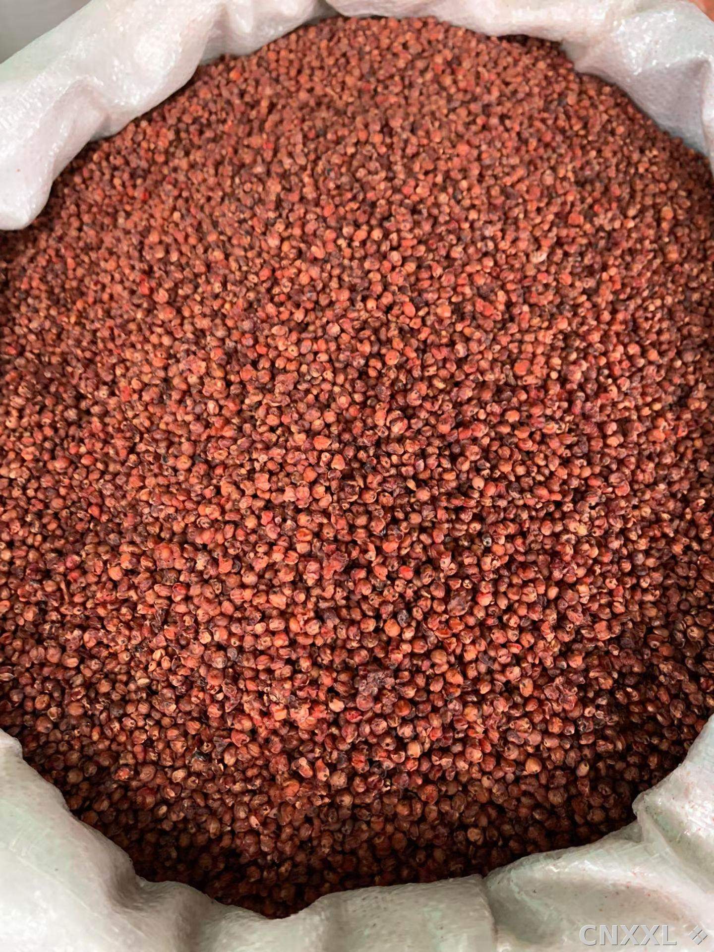 spice_22238_fd326973_3.jpg