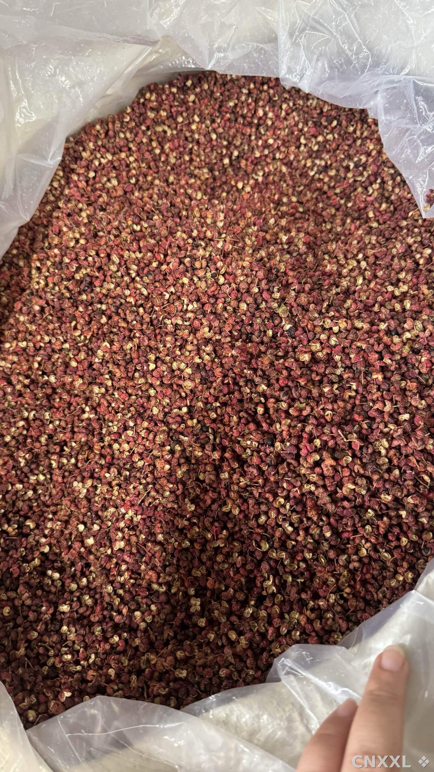 spice_22240_eff860bf_3.jpg