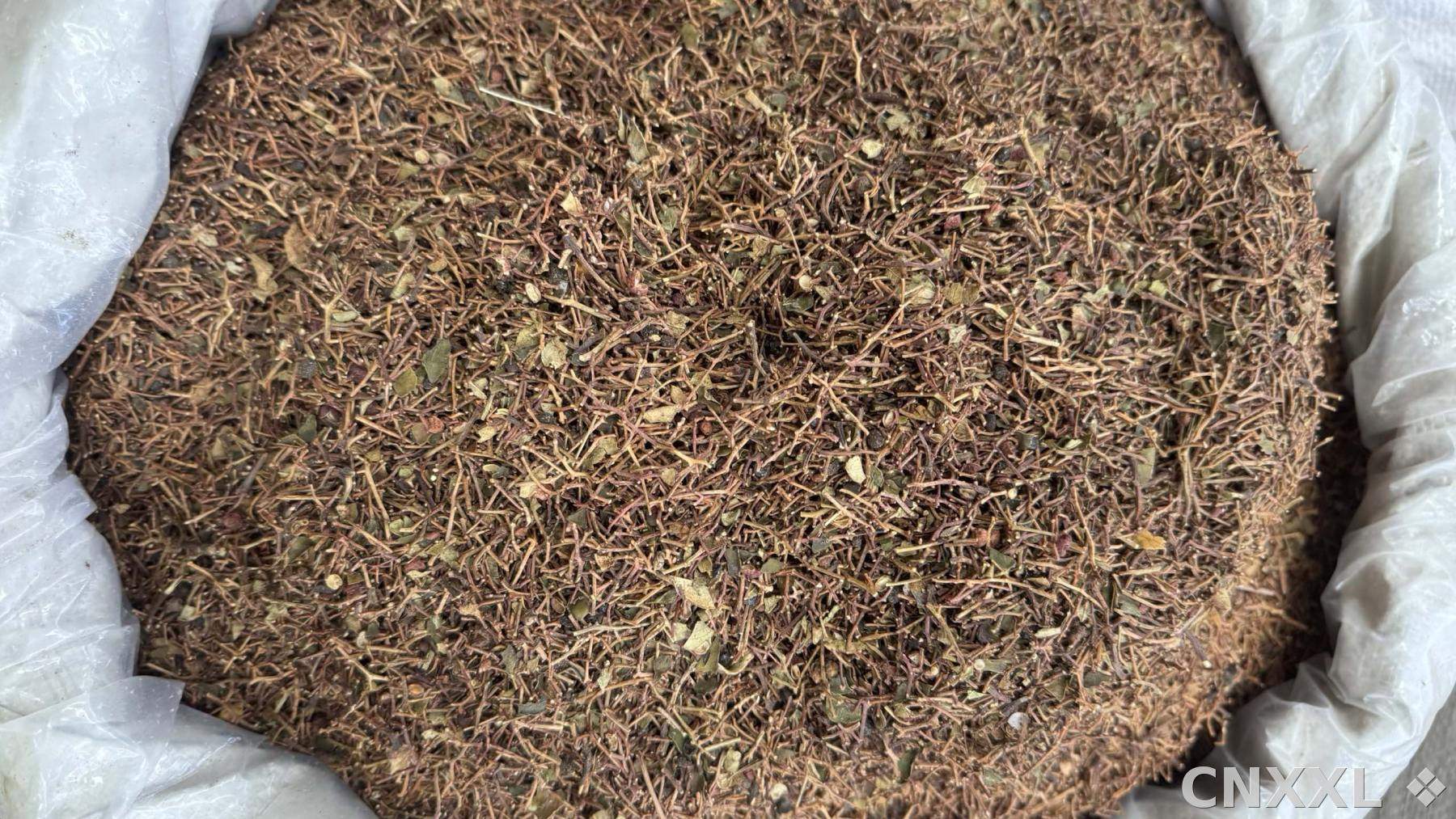 spice_22242_eb3f2eae_3.jpg
