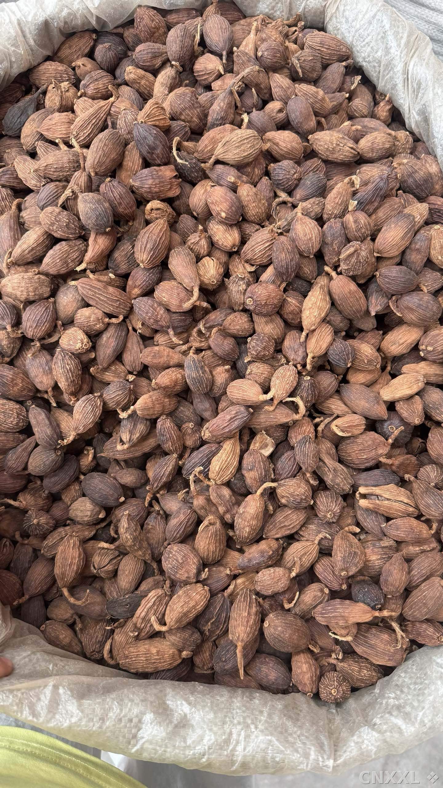 spice_22367_b0c7b771_2.jpg