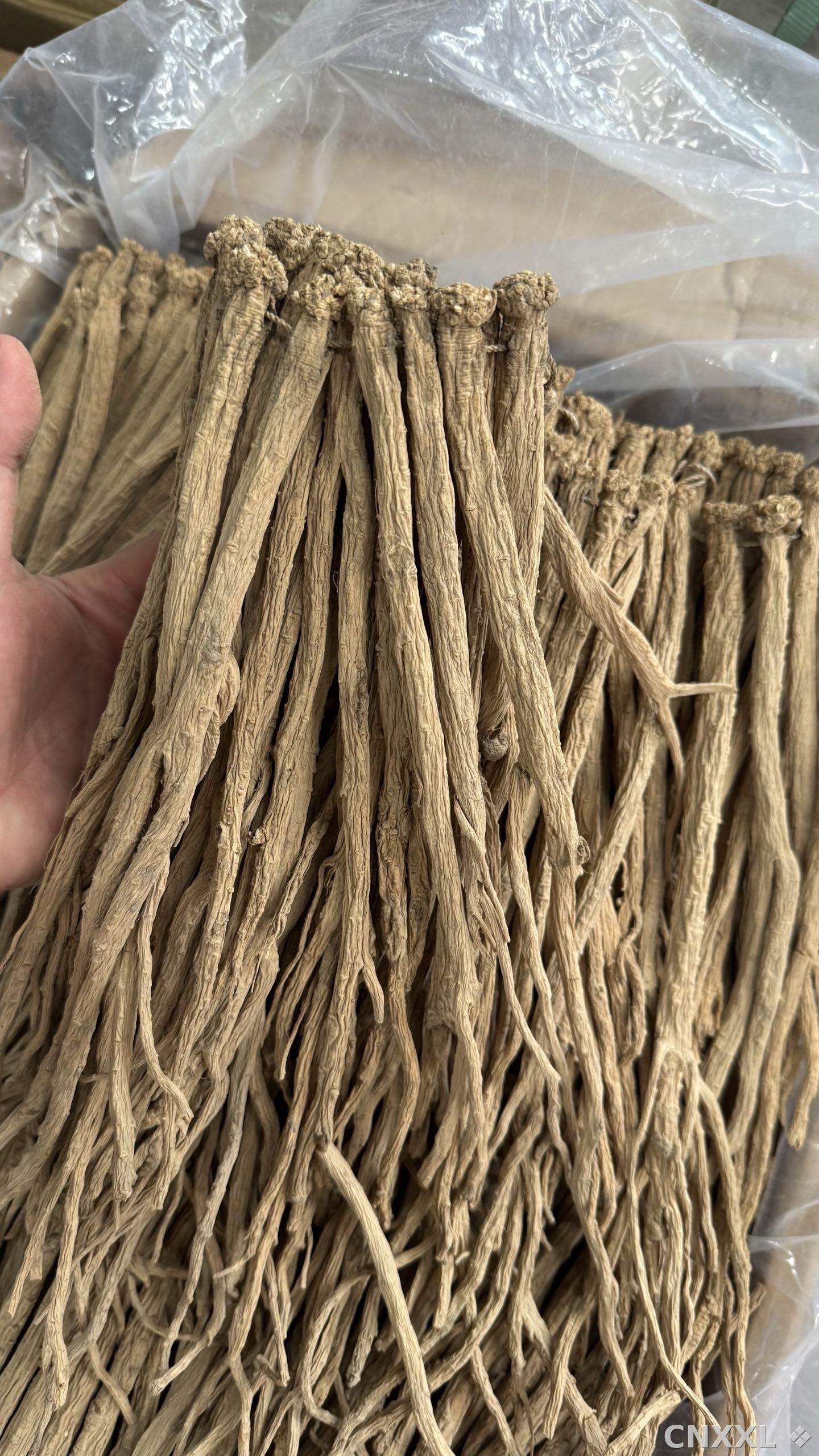 spice_22387_0fde9cd9_1.jpg