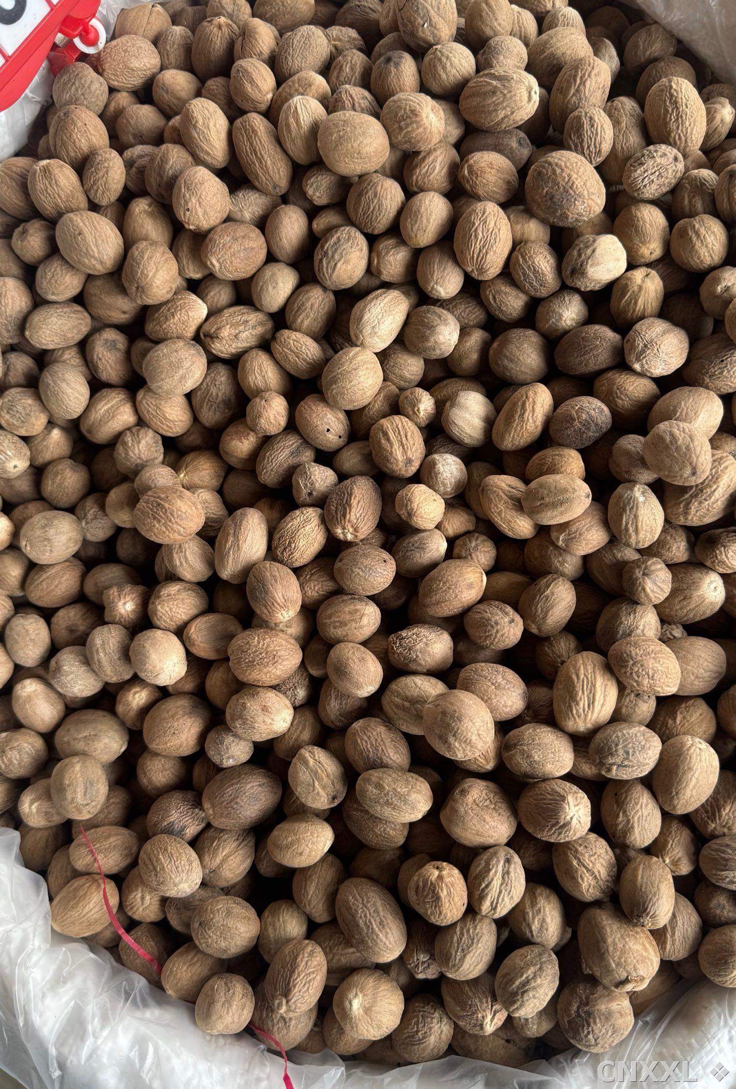 spice_23169_c46a42f1_3.jpg