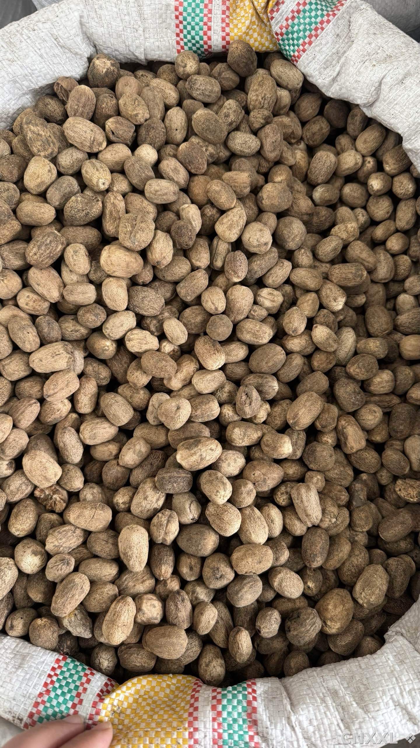 spice_23170_4317115c_3.jpg