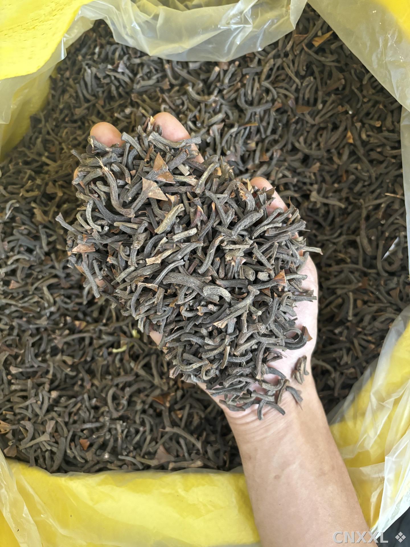 spice_23403_3fd947b1_3.jpg