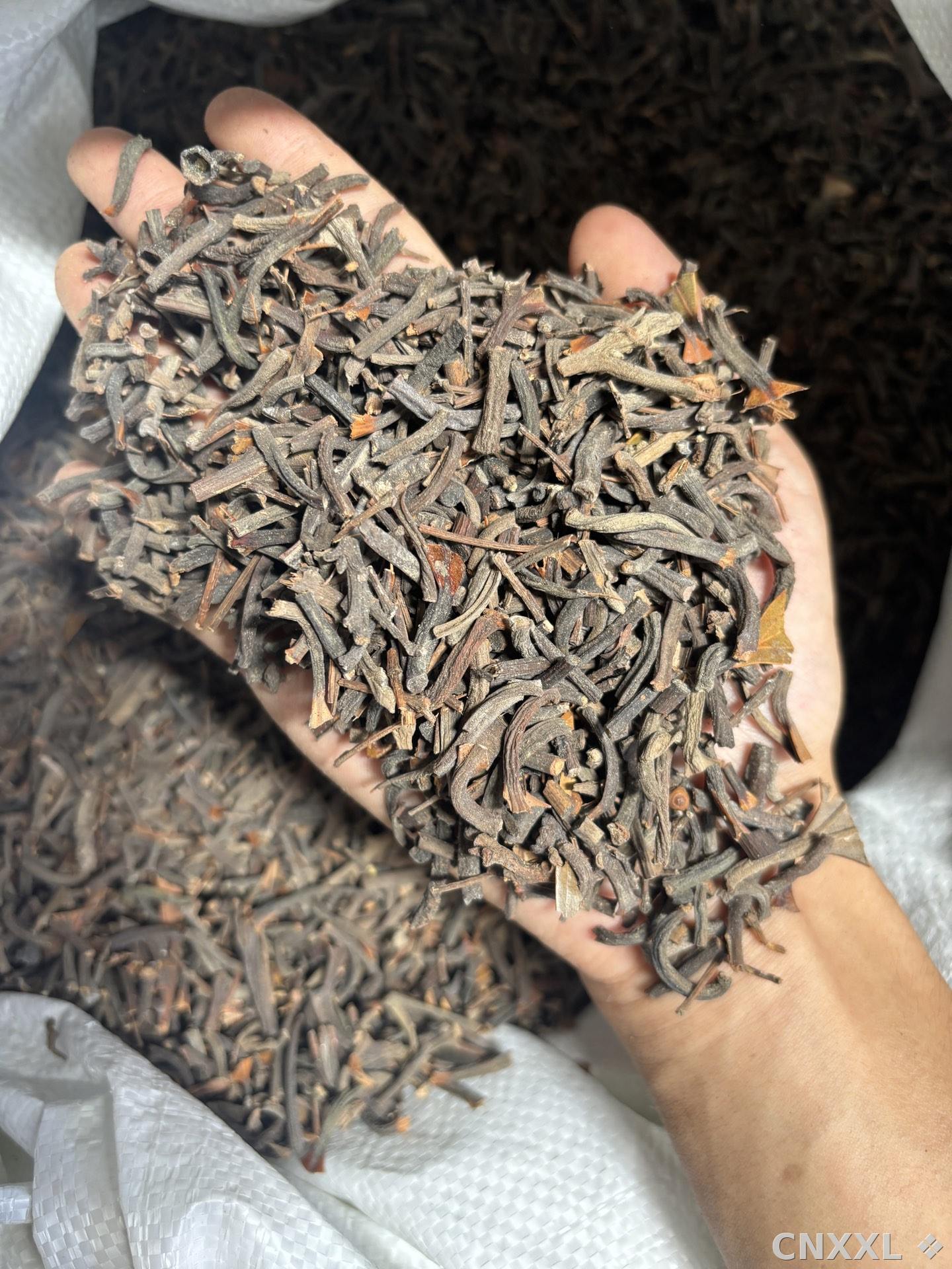 spice_23424_f080876a_1.jpg