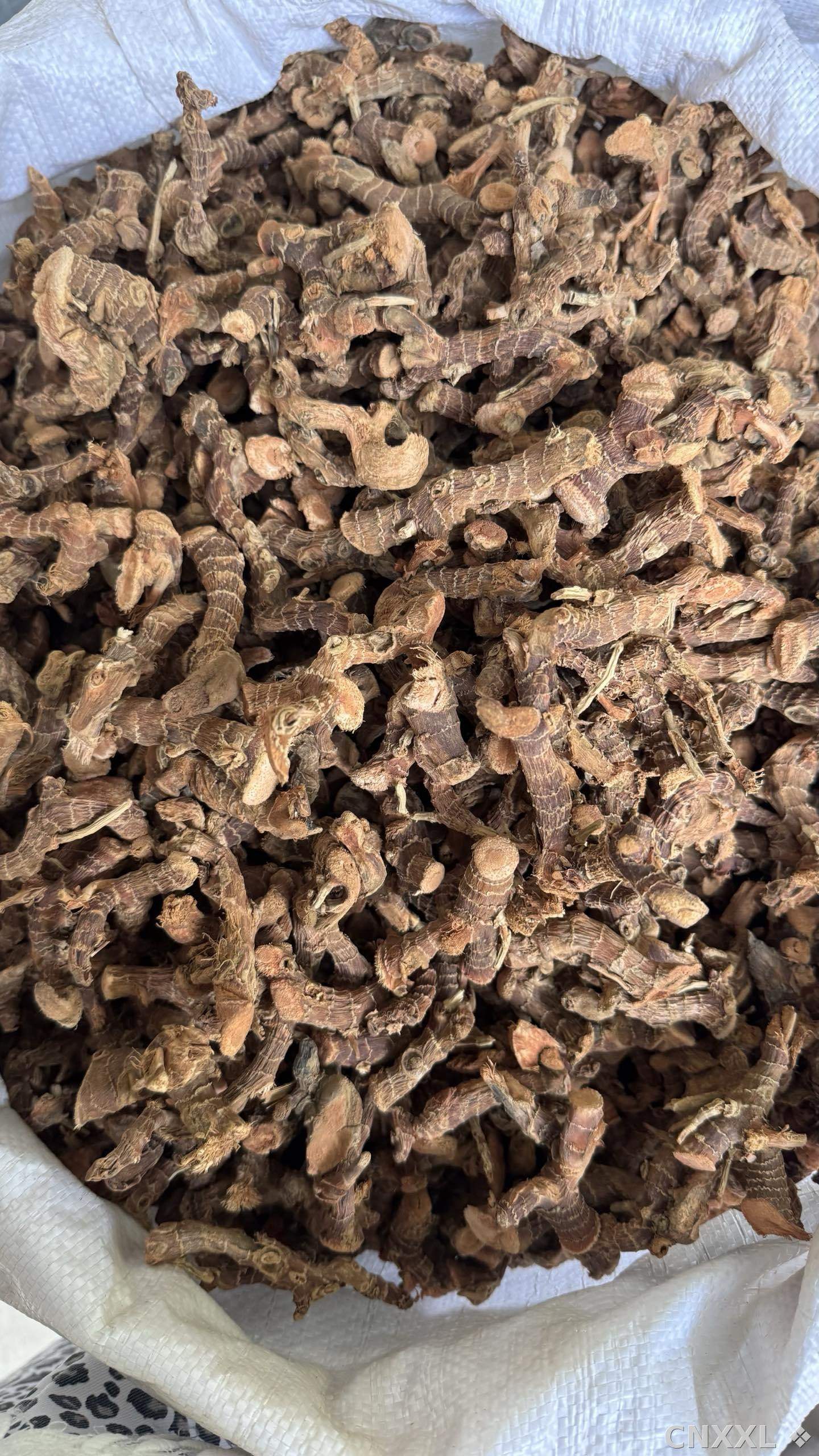 spice_23443_29f01375_3.jpg