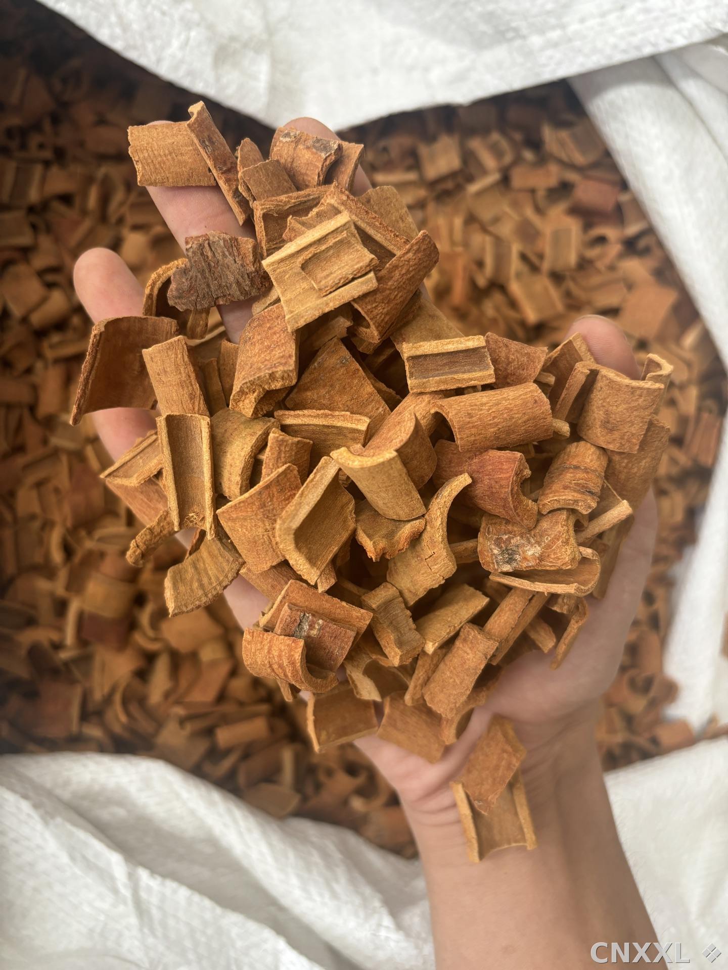 spice_24183_e5c6cf72_2.jpg