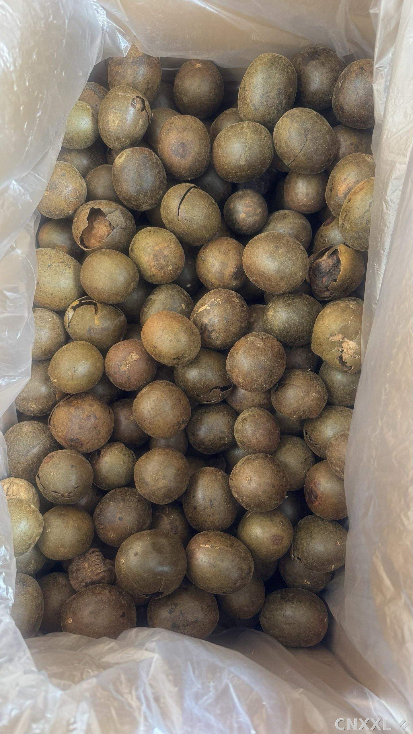 spice_24662_98f1cbd0_3.jpg