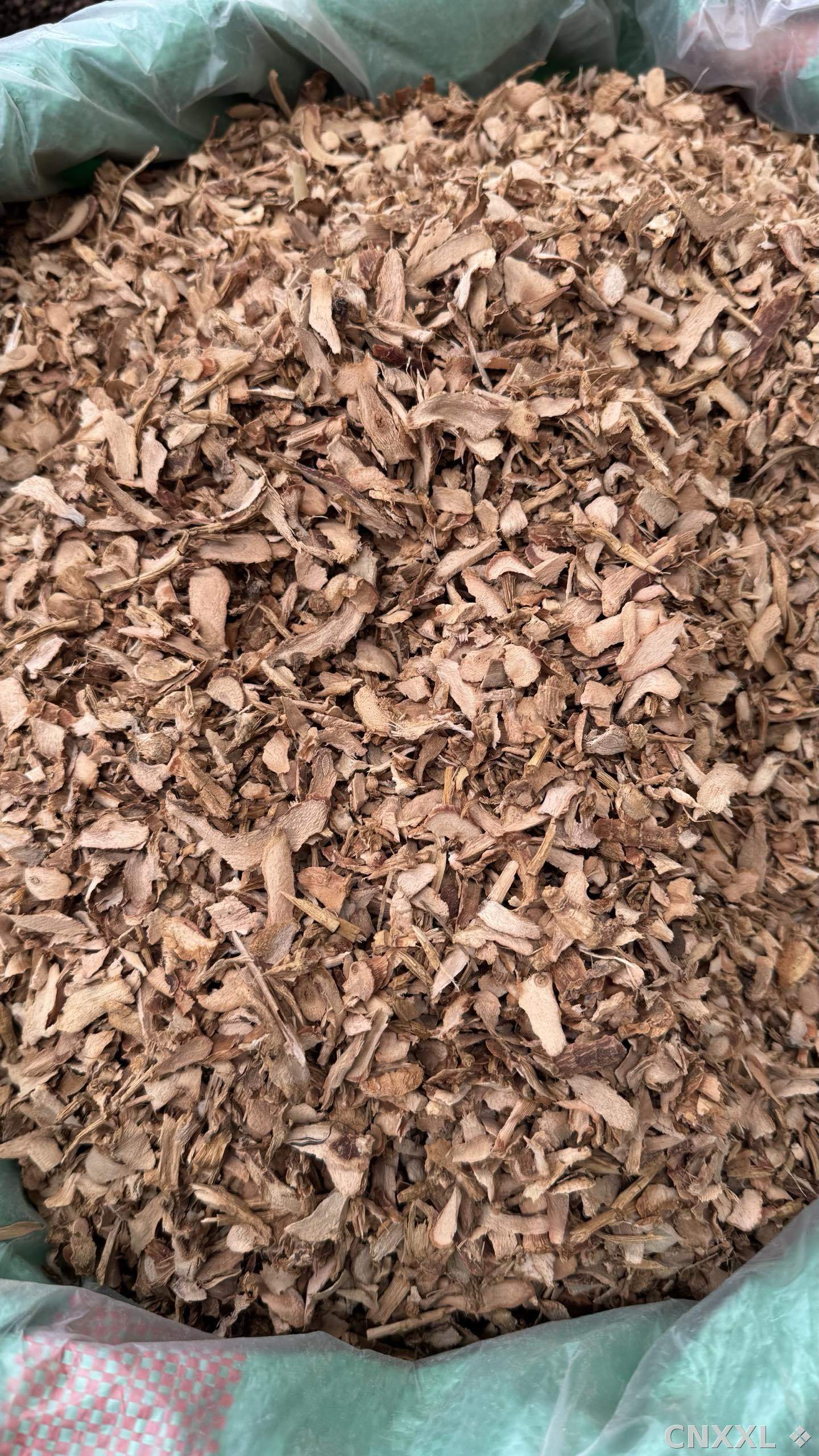 spice_24919_2d8b0edc_3.jpg