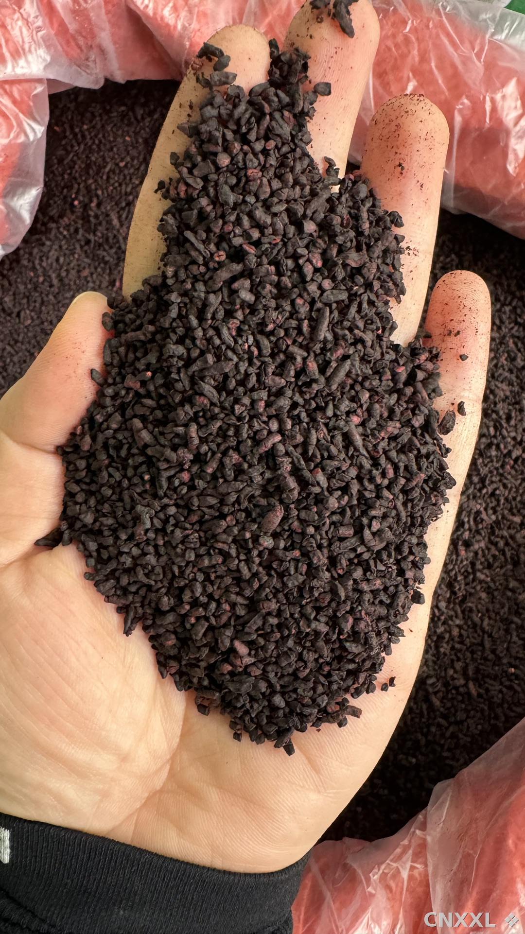 spice_25027_4eee3caa_2.jpg