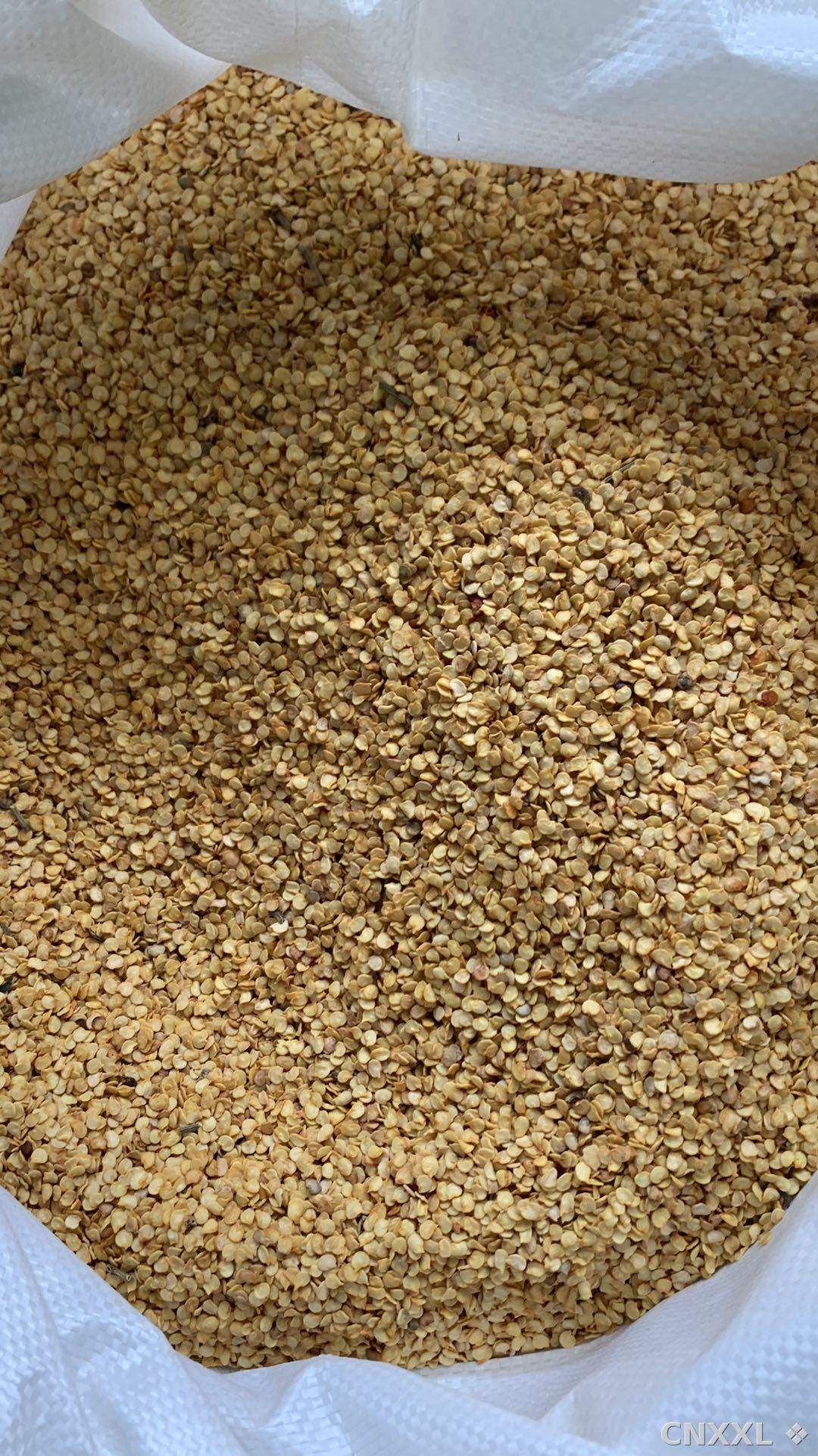 spice_25030_bc0e9d19_3.jpg