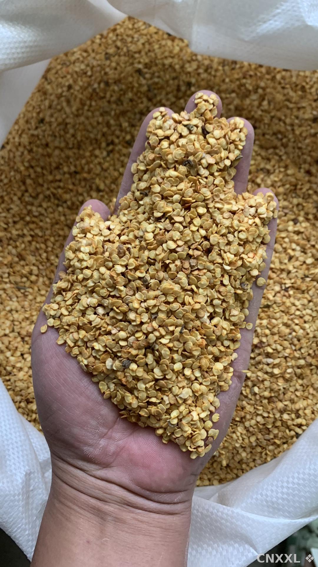 spice_25030_f10ec4f4_1.jpg