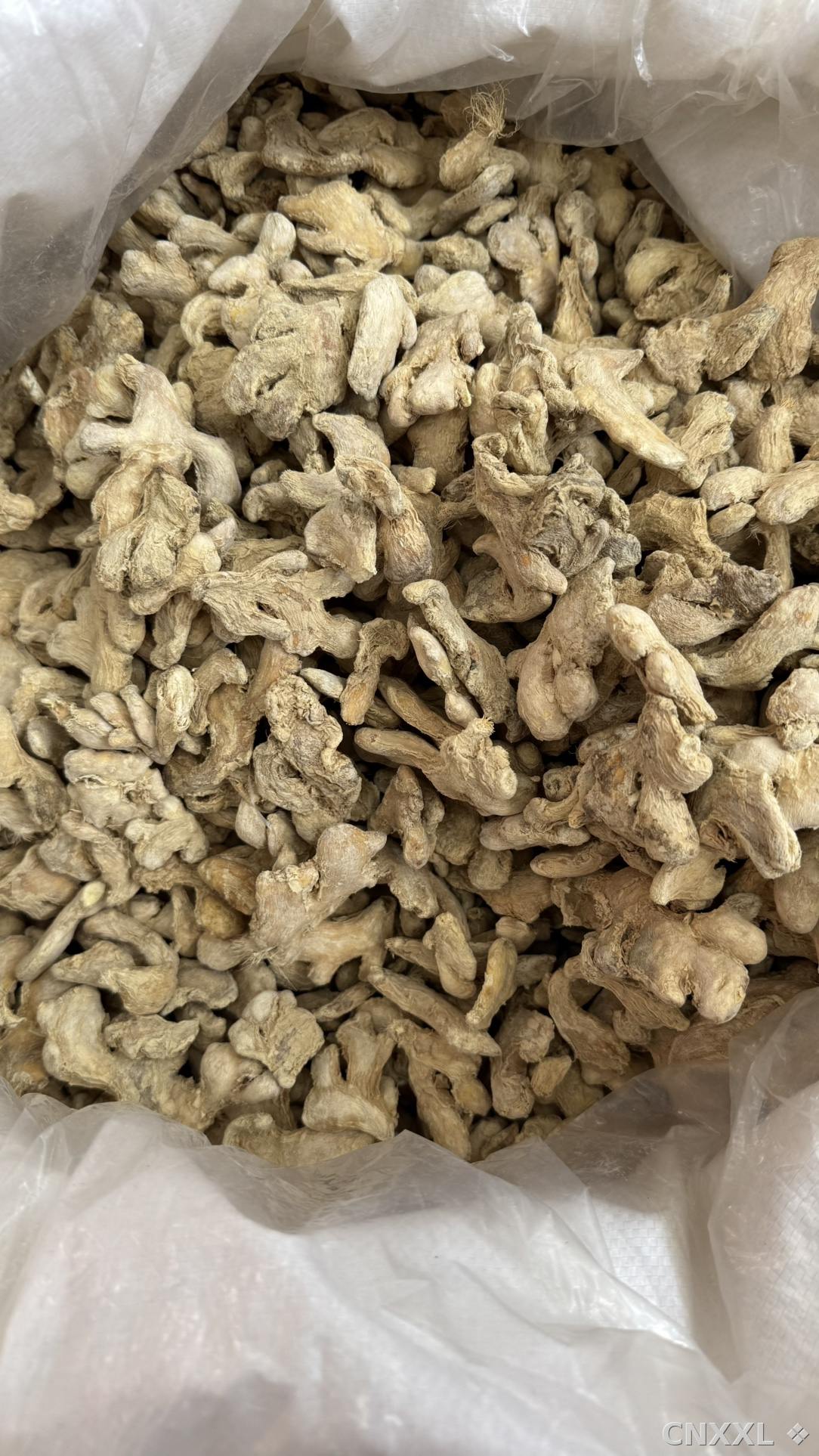spice_25096_1e1c6450_2.jpg