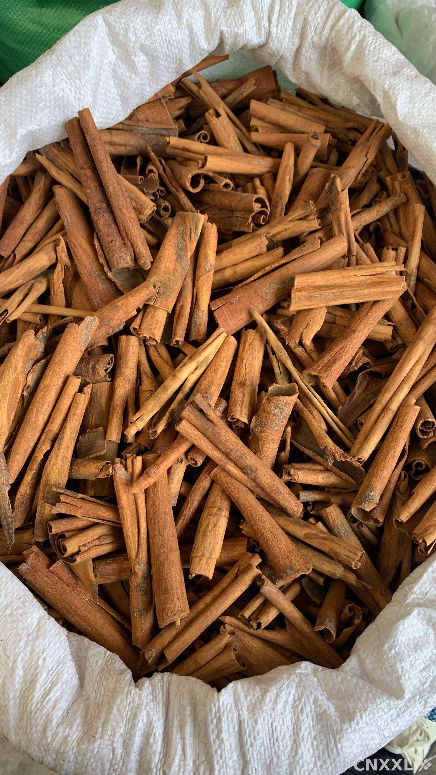 spice_25220_17518b8c_3.jpg