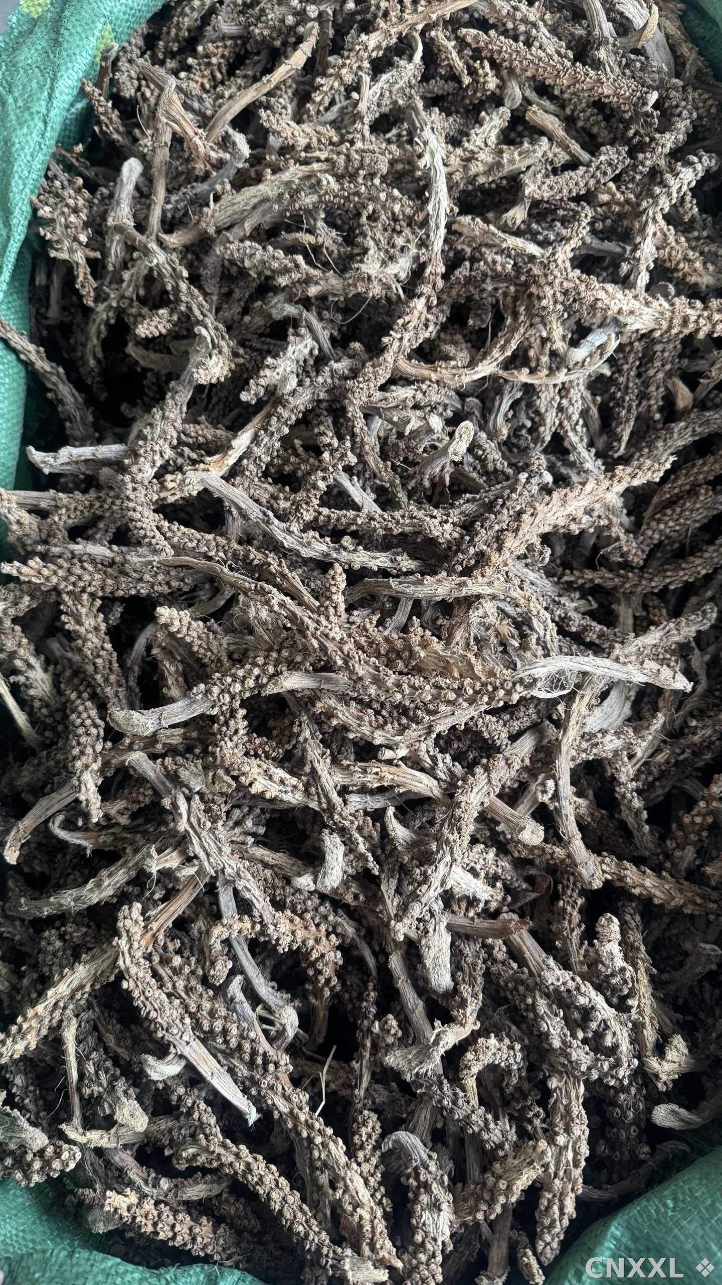 spice_25337_da7ad864_3.jpg