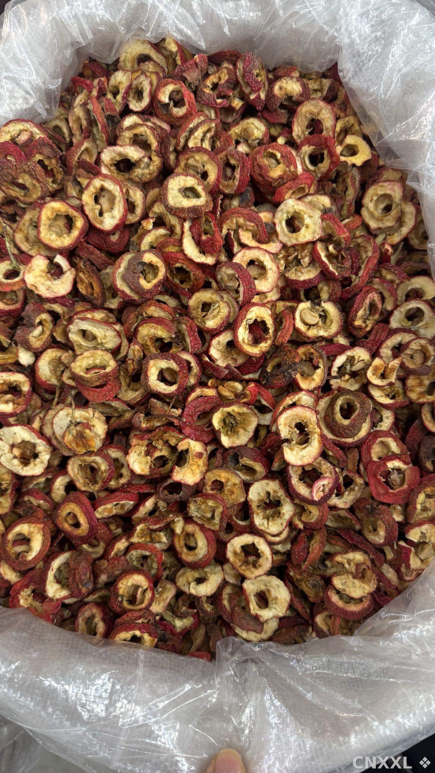 spice_25338_6756fb29_3.jpg